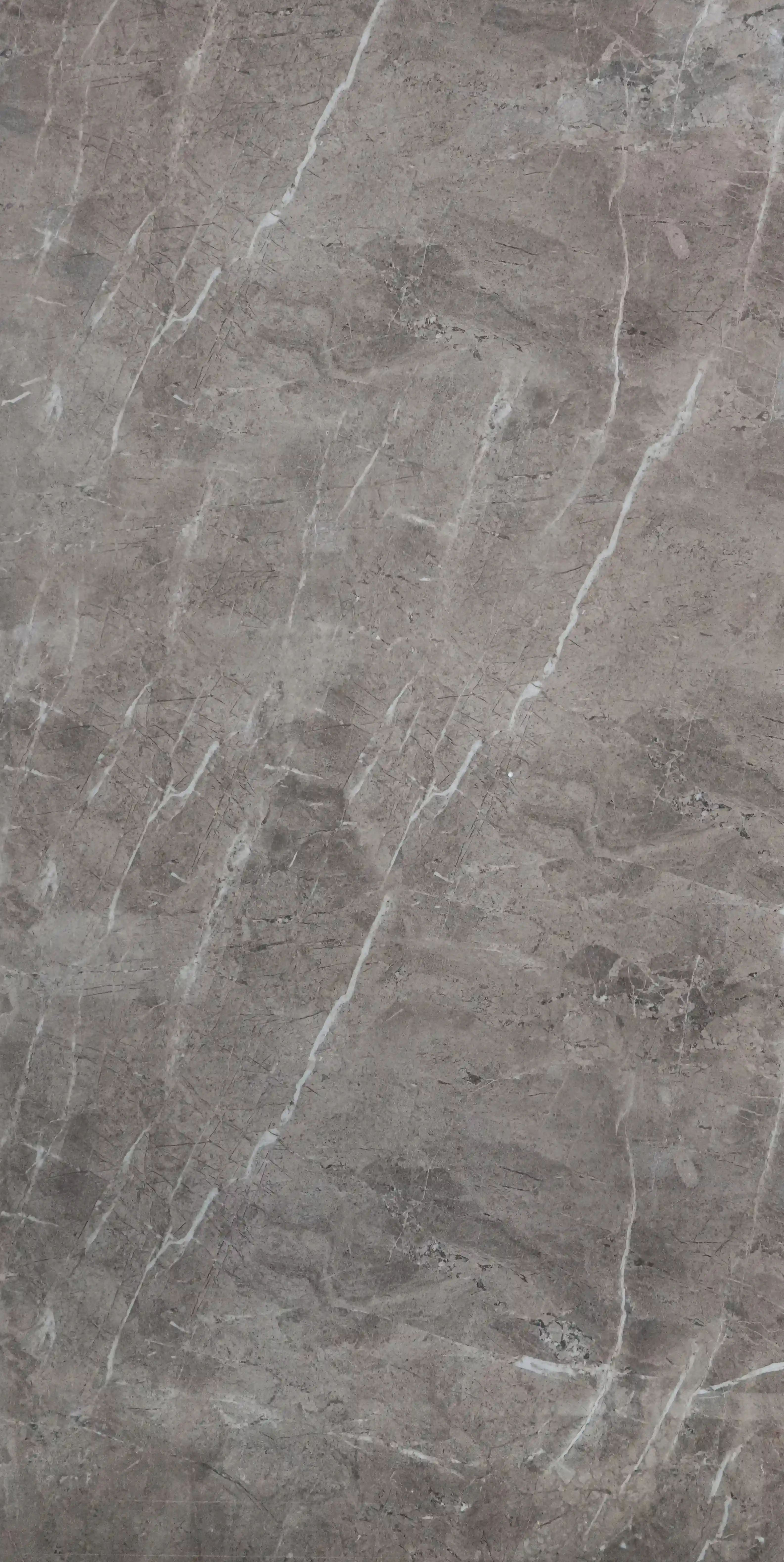 Ebony Light Grey slab 60 X 120 CM 1