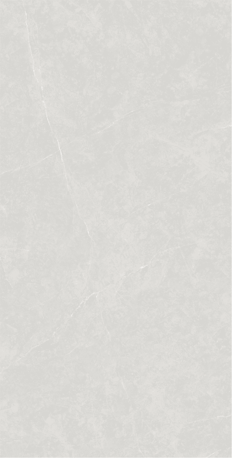 Anzio Light Grey slab 120 X 60 CM 7