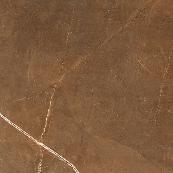 Orobico Brown slab 60 X 60 CM 3