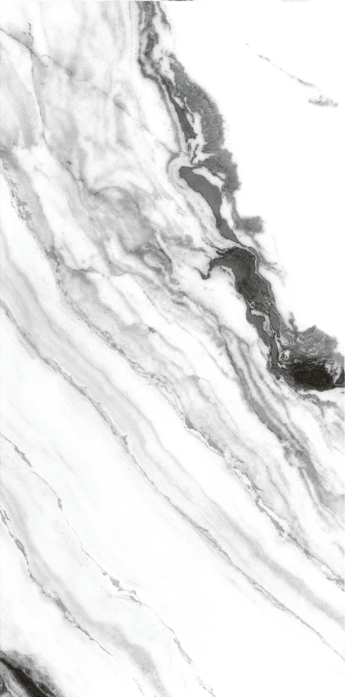 Carrara Nero slab 60 X 120 CM 2