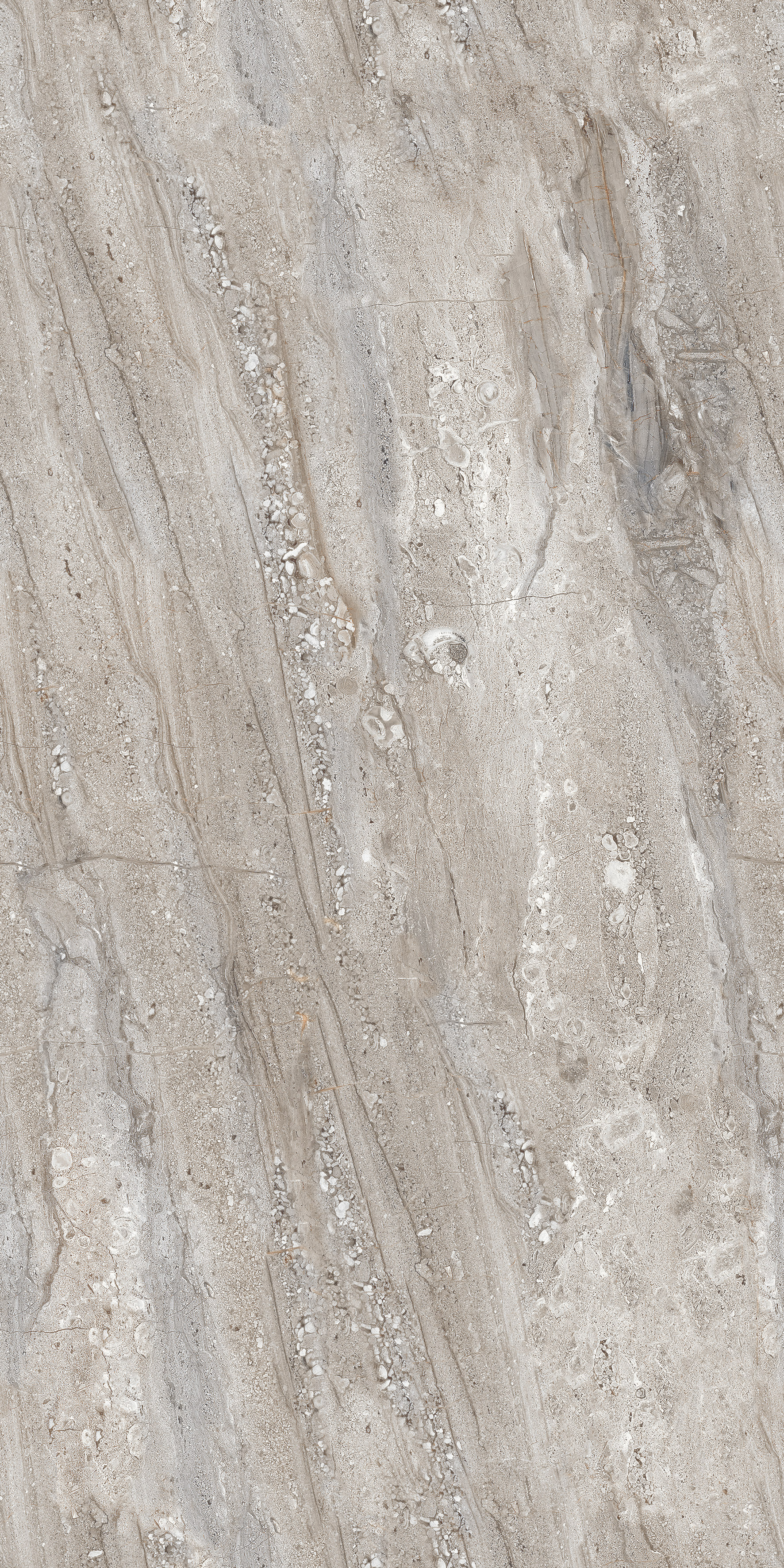 Gobi Grey slab 60 X 120 CM 2