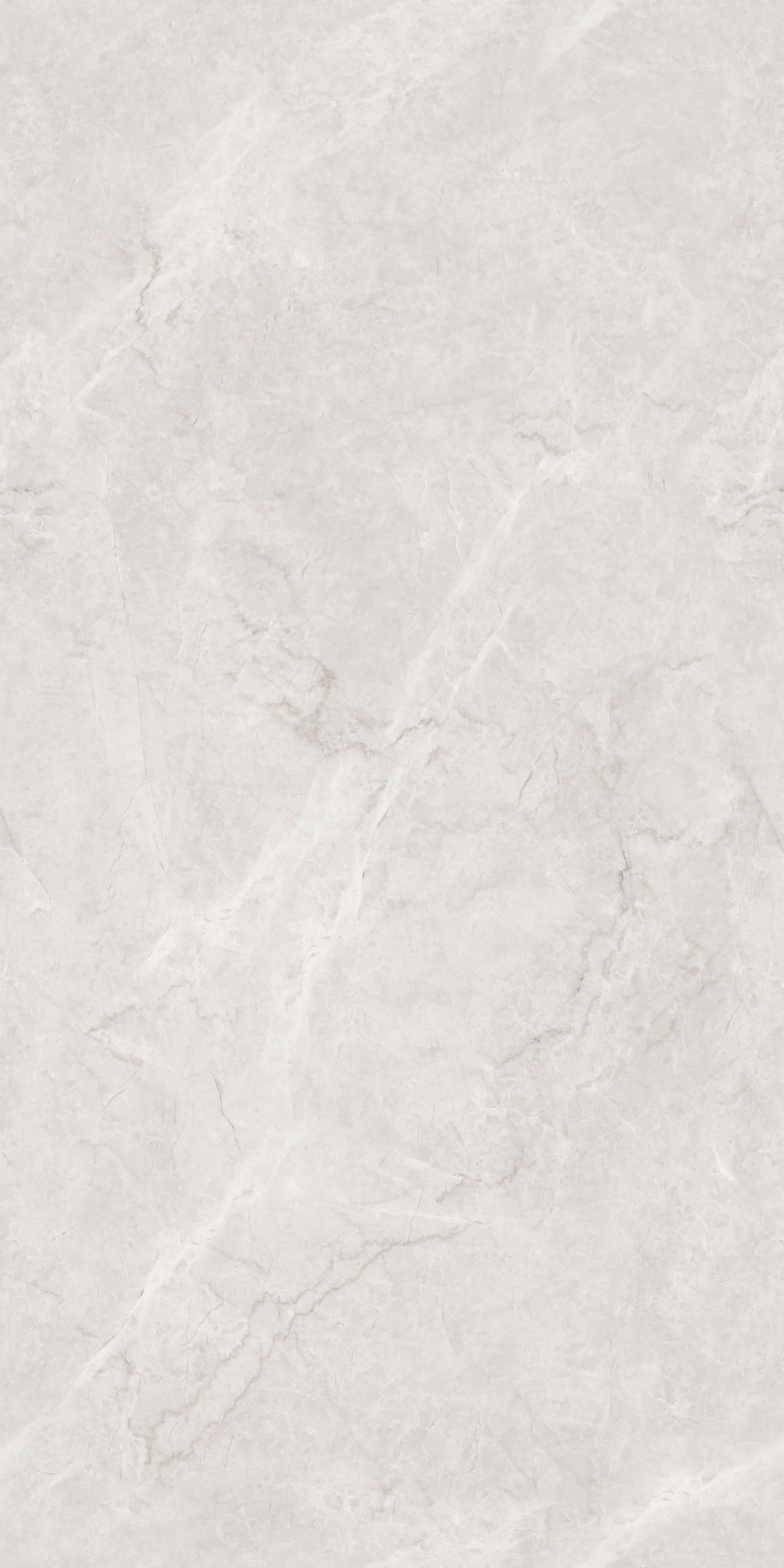 Coropuna Grey slab 60 X 120 CM 3