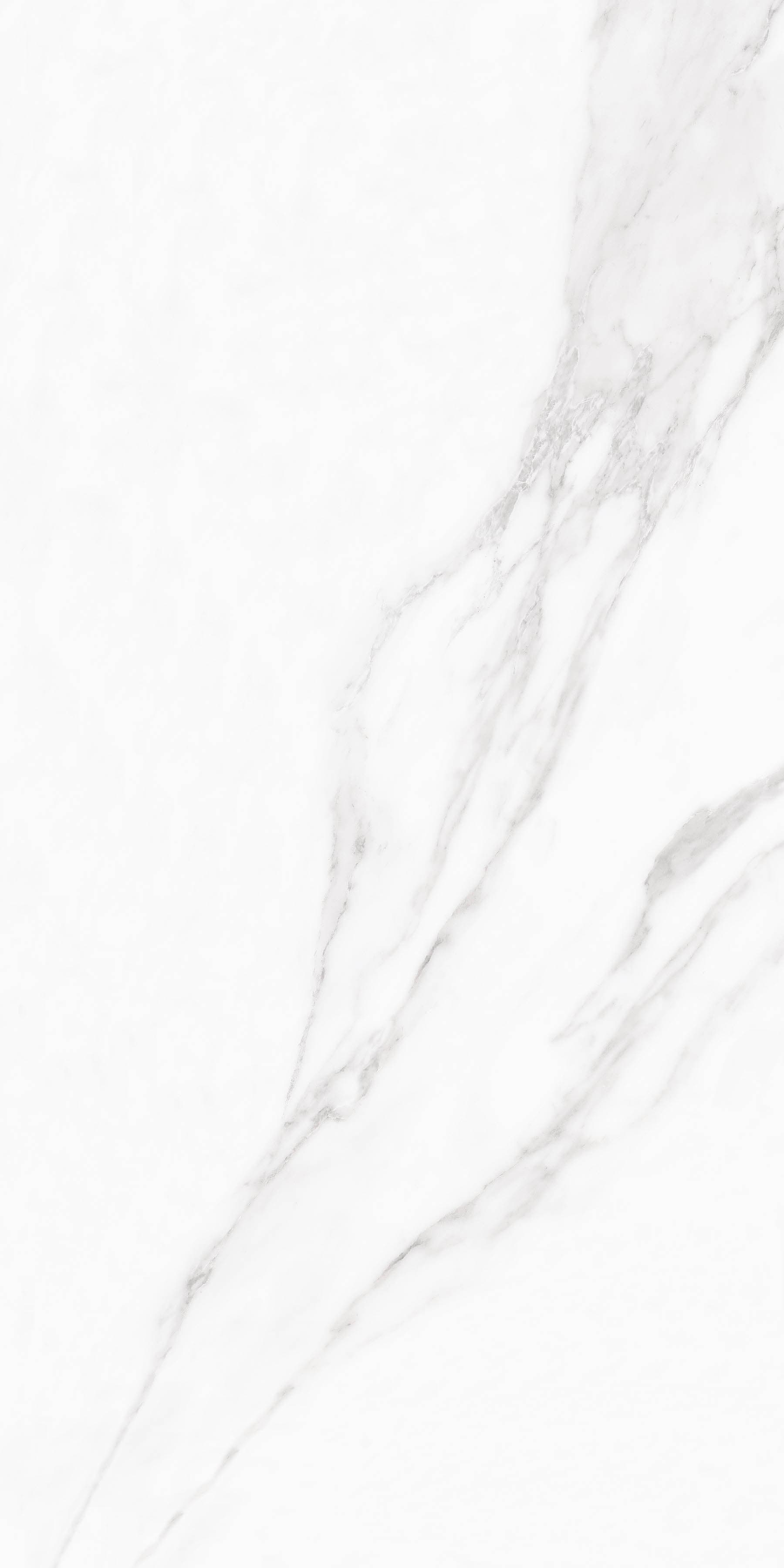 Arctic Statuario - 5