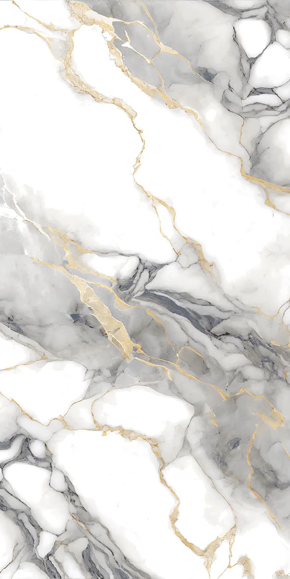 Cosmo Bianco slab 60 X 120 CM 1