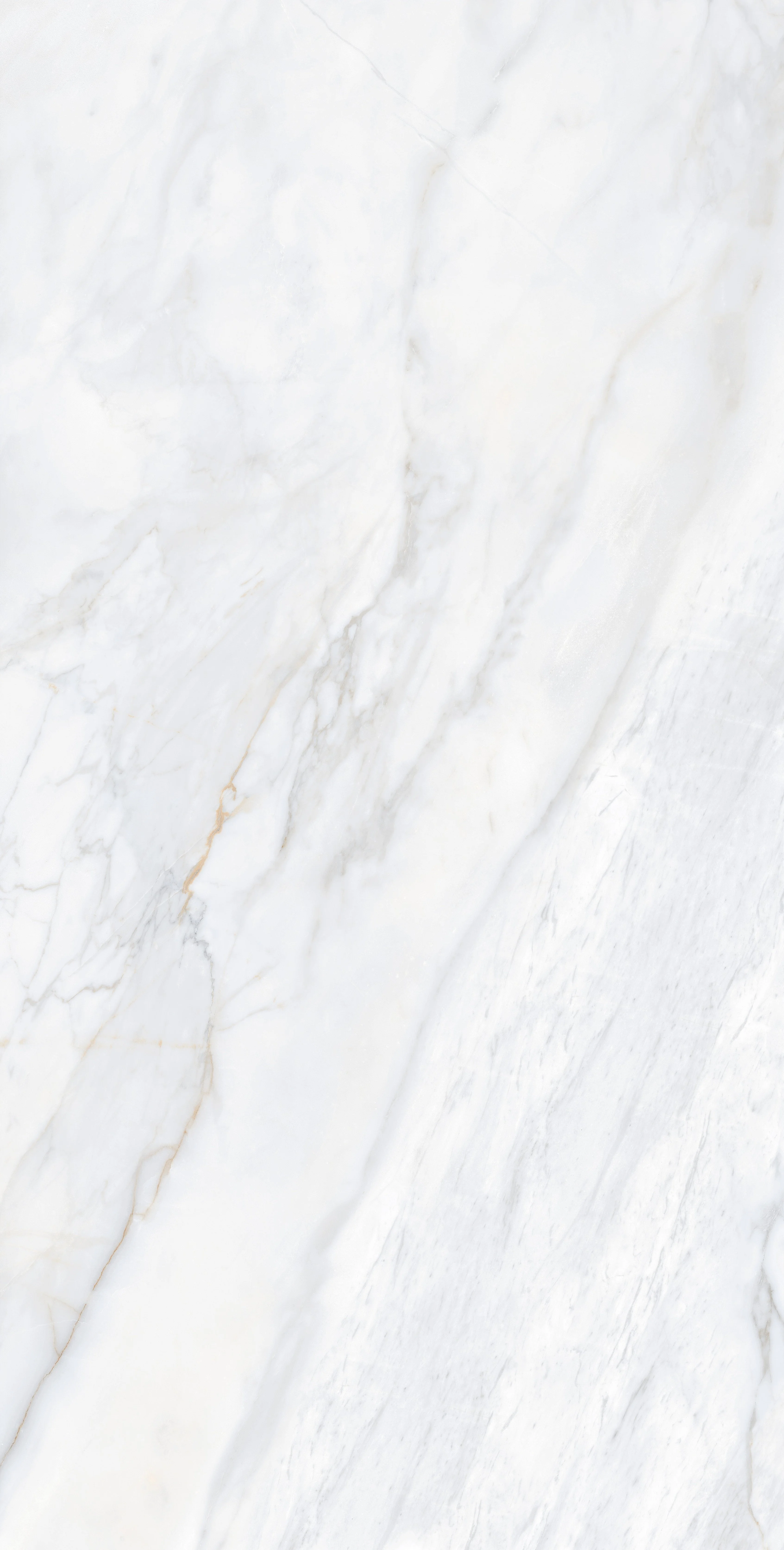 Oglio Bianco Satin slab 90 X 180 CM | 60 X 120 CM 1
