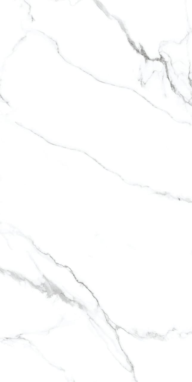 Calacatta Silver slab 60 X 120 CM 1