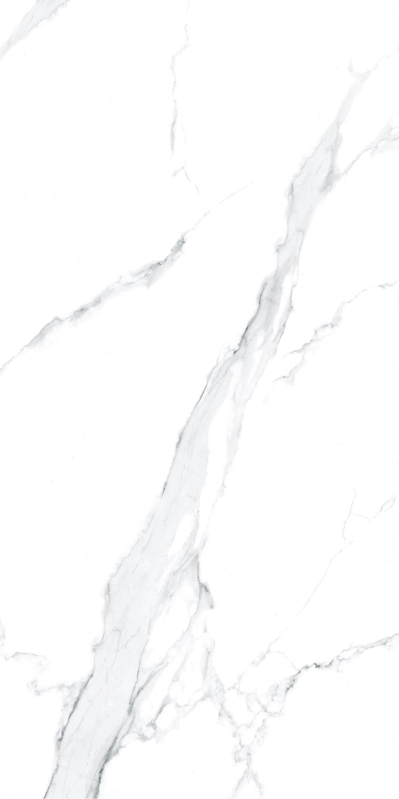Vena Bianco - 7