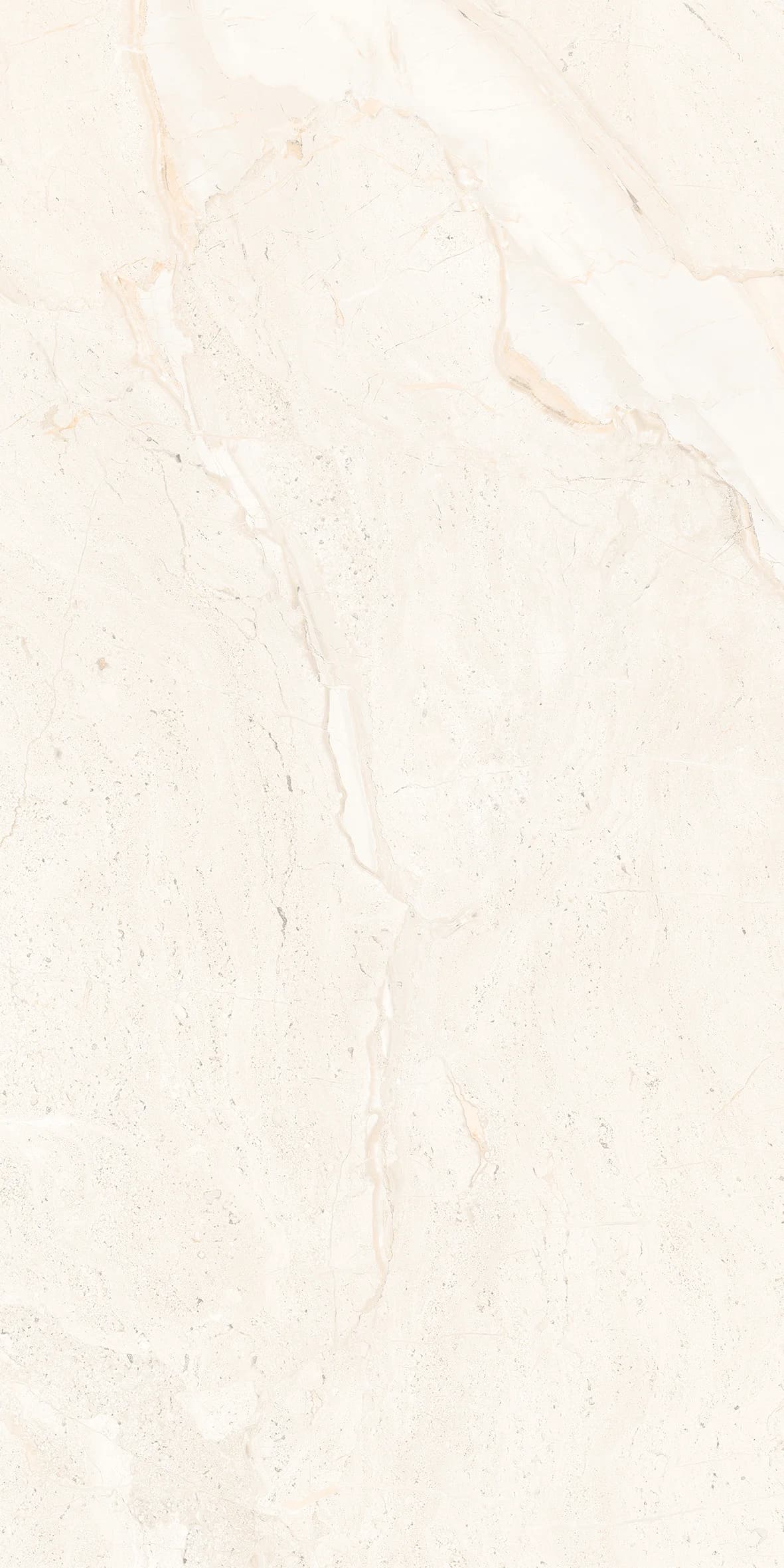 VG Breccia Golden slab 30 X 60 CM 1
