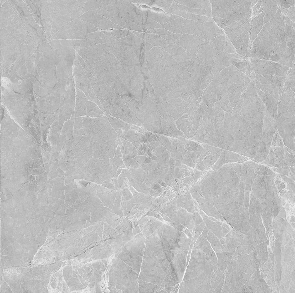 Regal Grey slab 60 X 60 CM 2