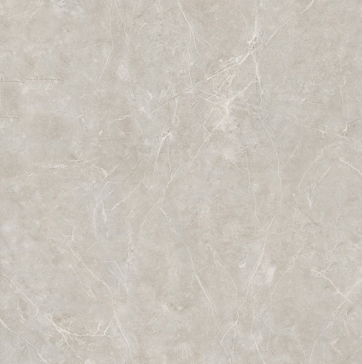 Antarch Light Grey slab 60 X 60 CM 2