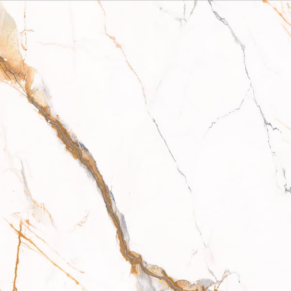 Scepter Gold slab 60 X 60 CM 5