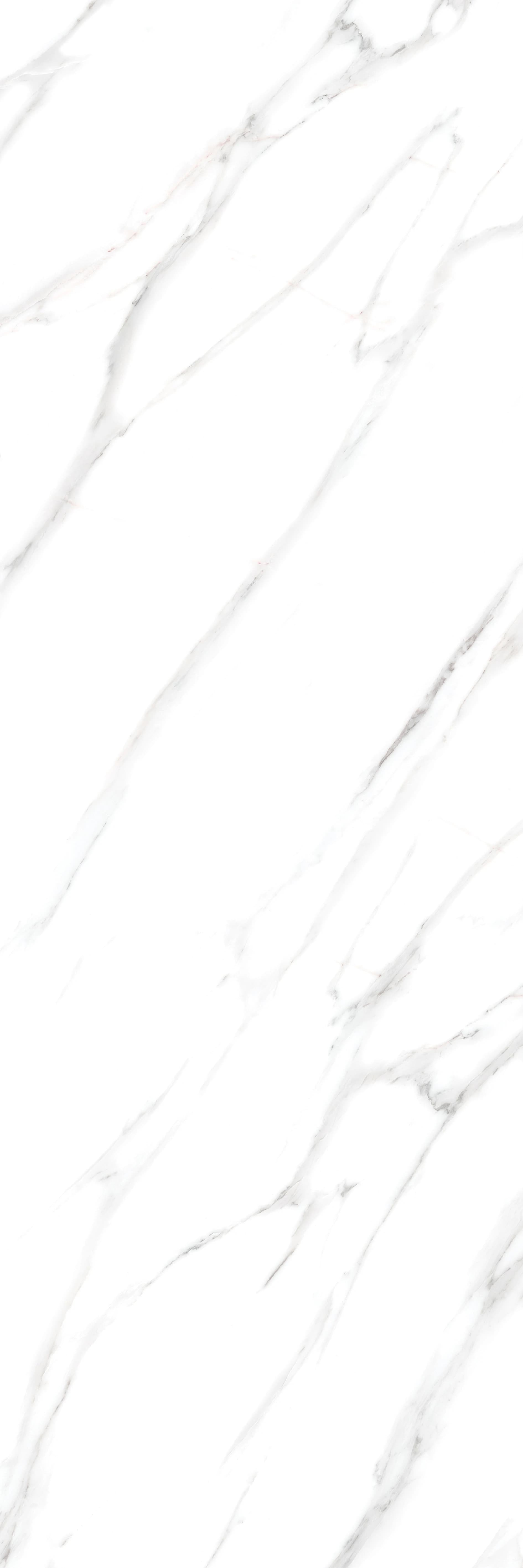 Alessio Bianco slab 80 X 240 CM 3
