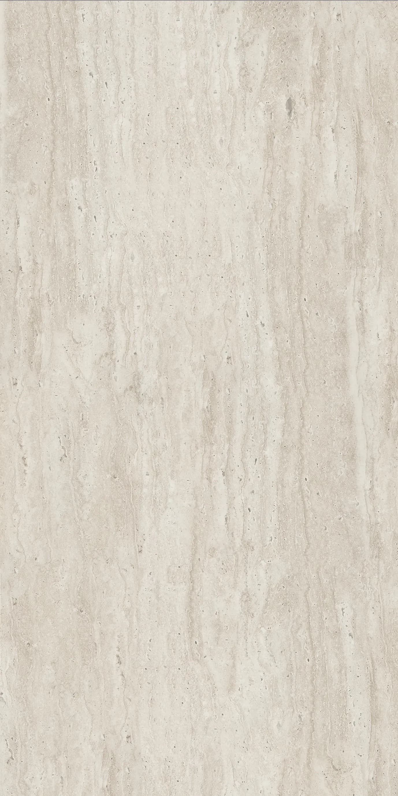 Judy Ivory slab 120 X 60 CM 2