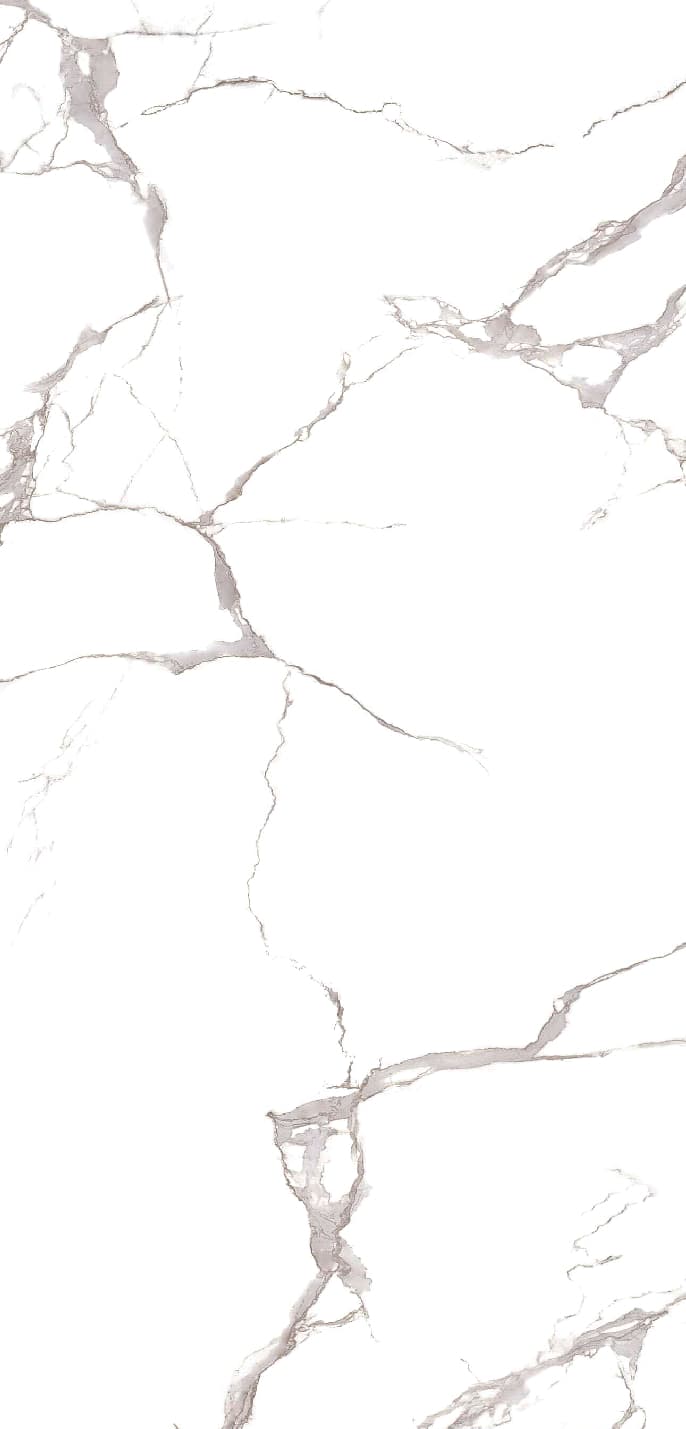 Statuario Grey slab 120 X 60 CM 4