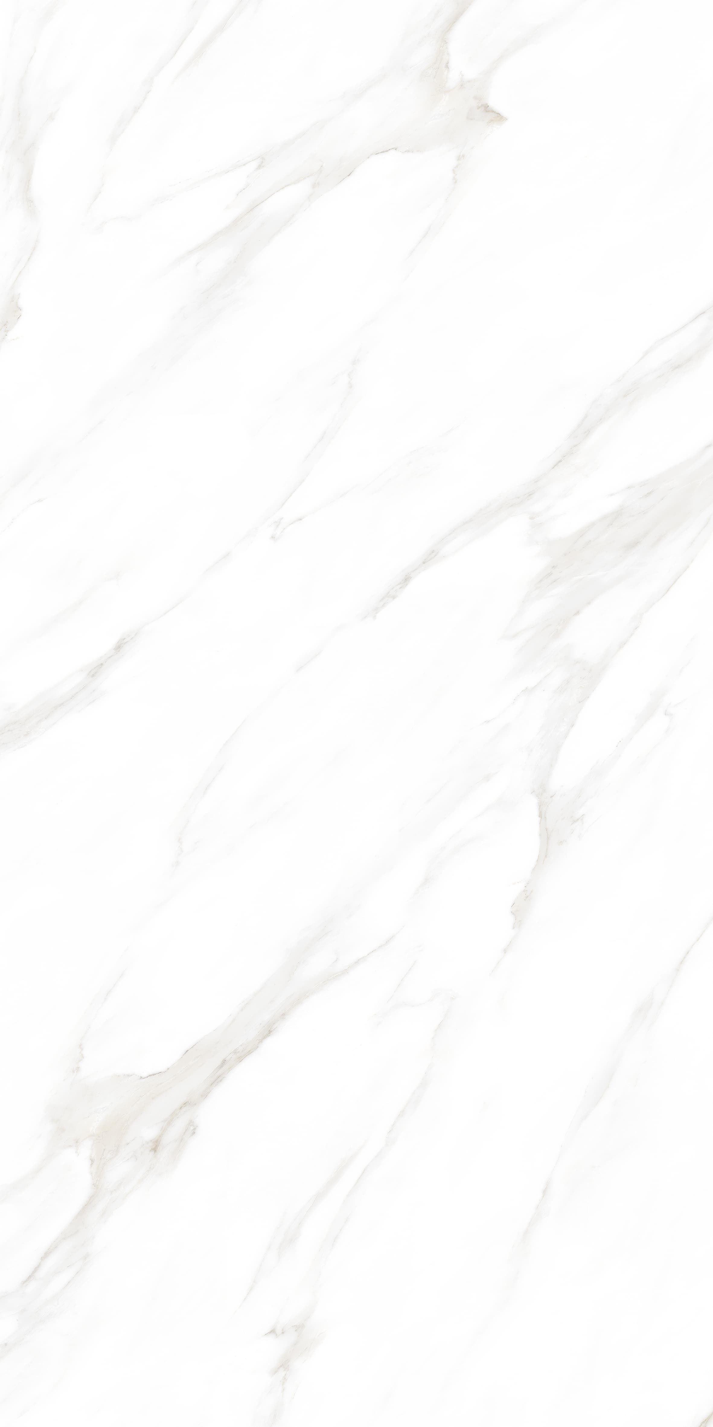 Vitoria Bianco slab 60 X 120 CM 2