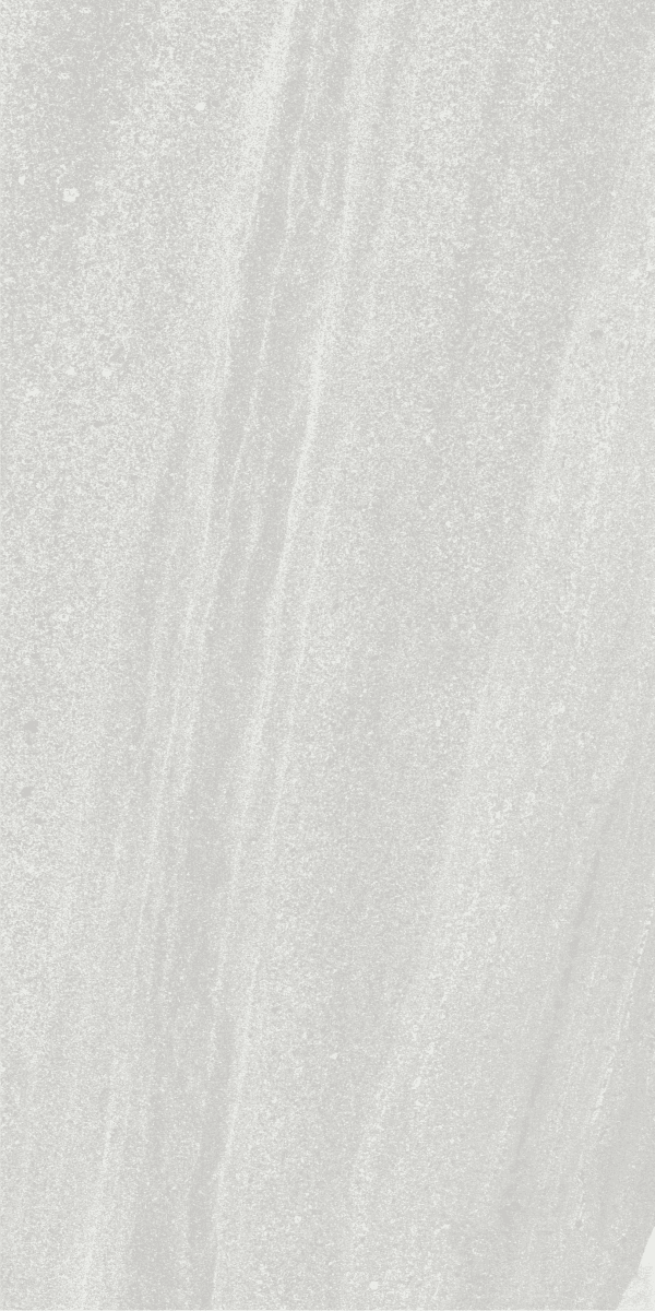 Veneto Cenere slab 60 X 120 CM 3