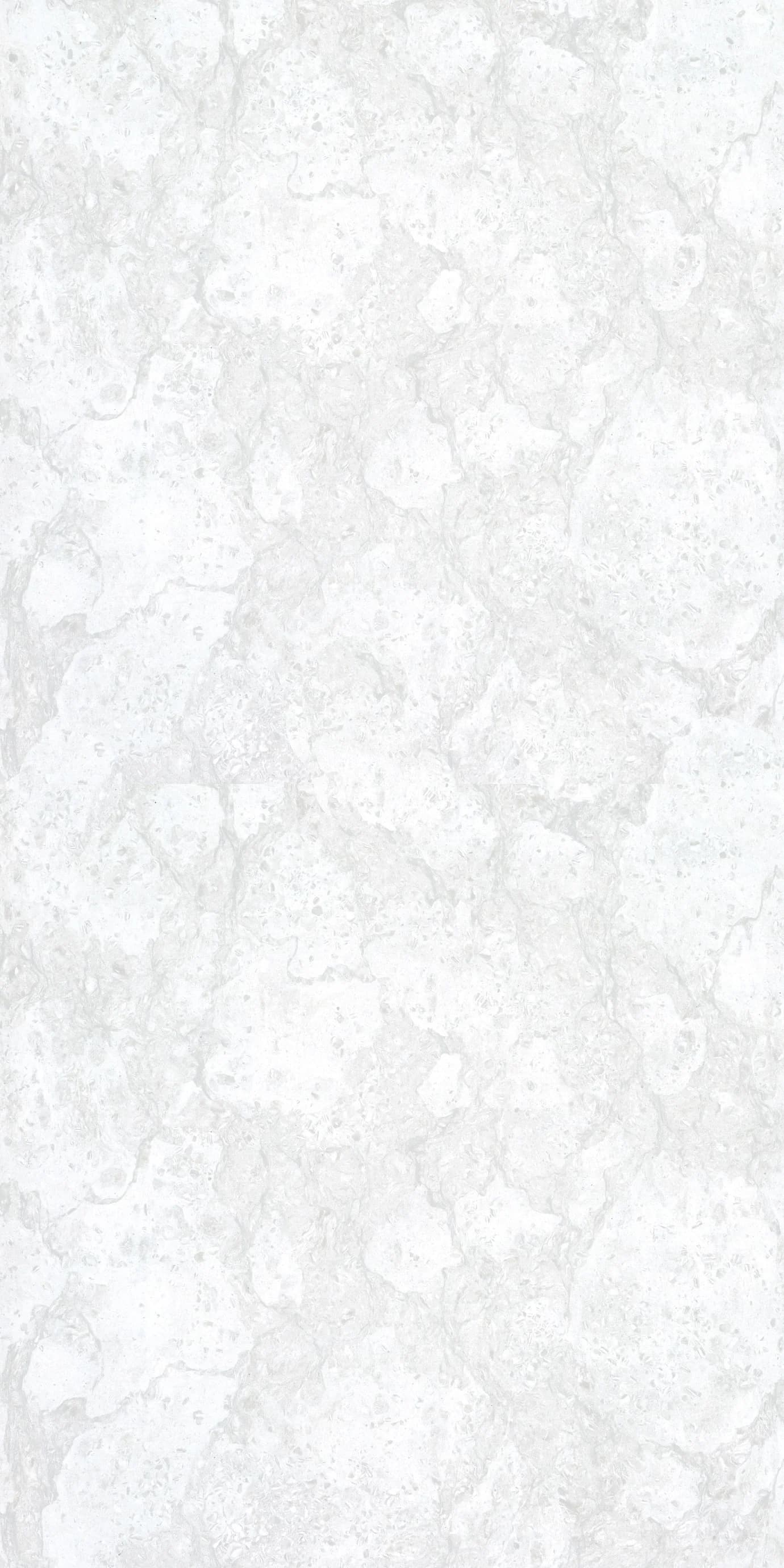 Texas White slab 60 X 120 CM 1
