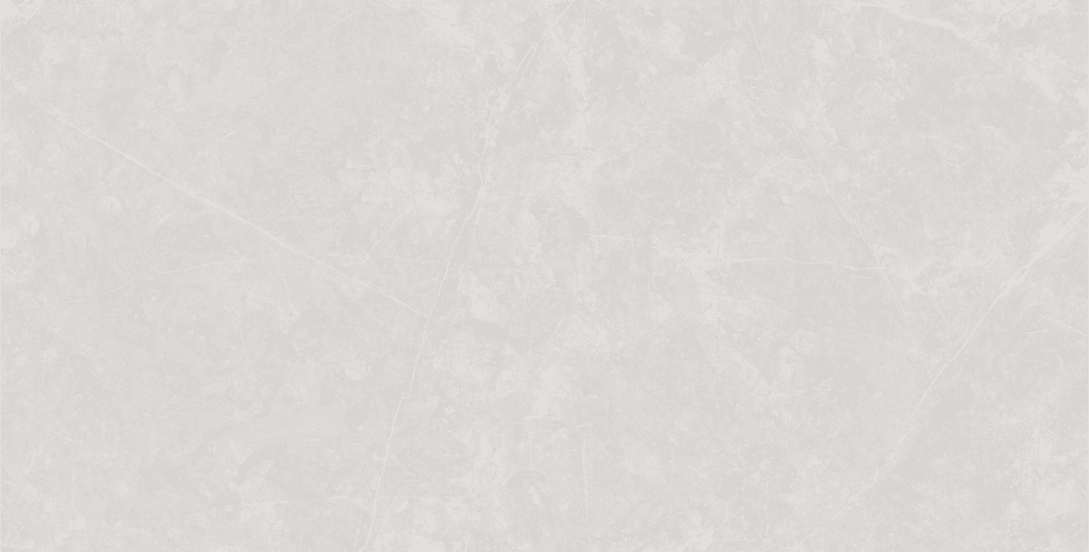 Anzio Light Grey slab 60 X 120 CM 8