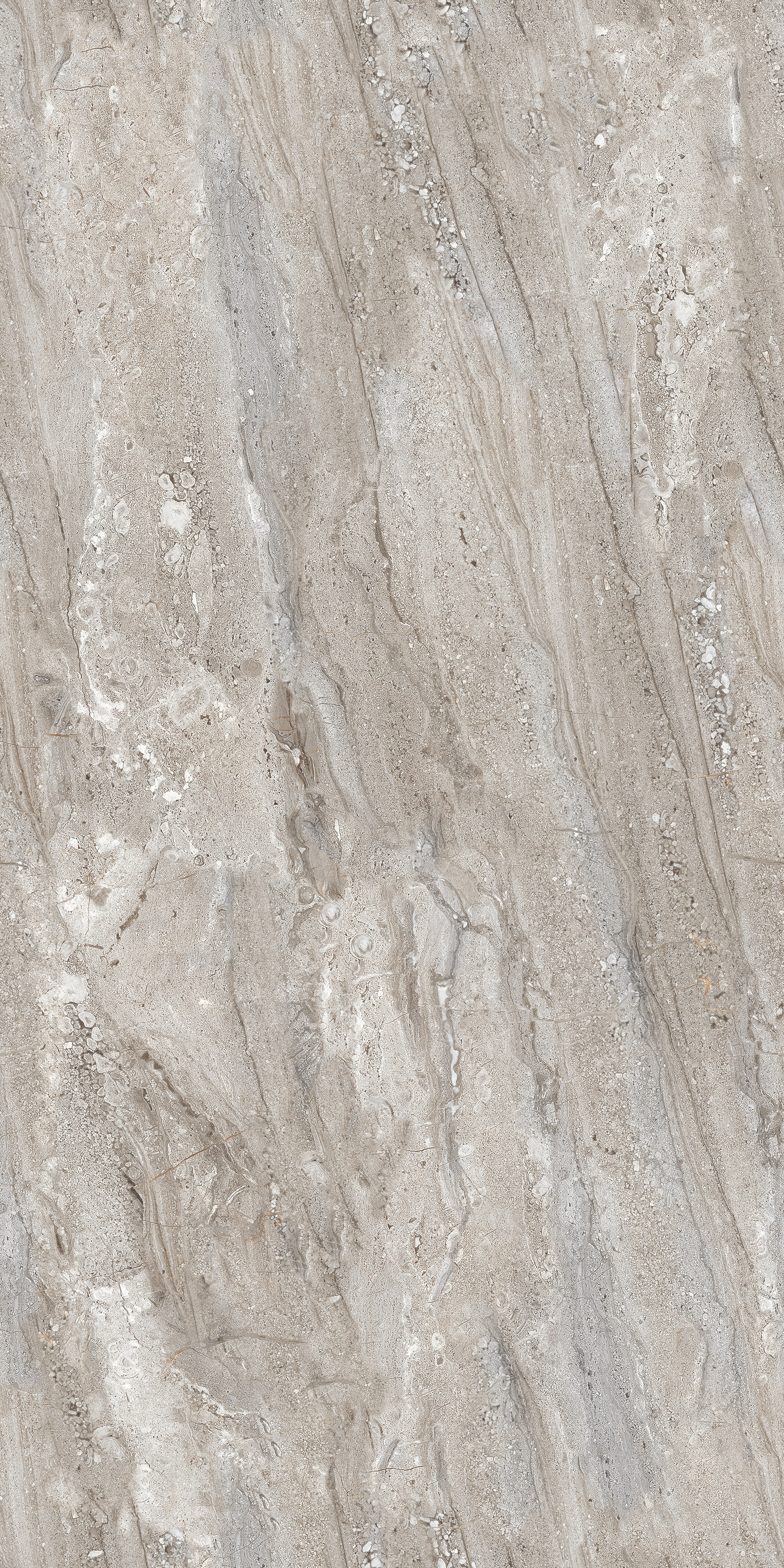 Gobi Grey slab 60 X 120 CM 3
