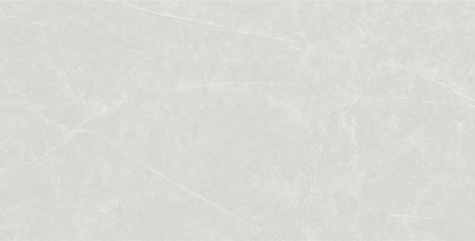 Anzio Light Grey slab 60 X 120 CM 3