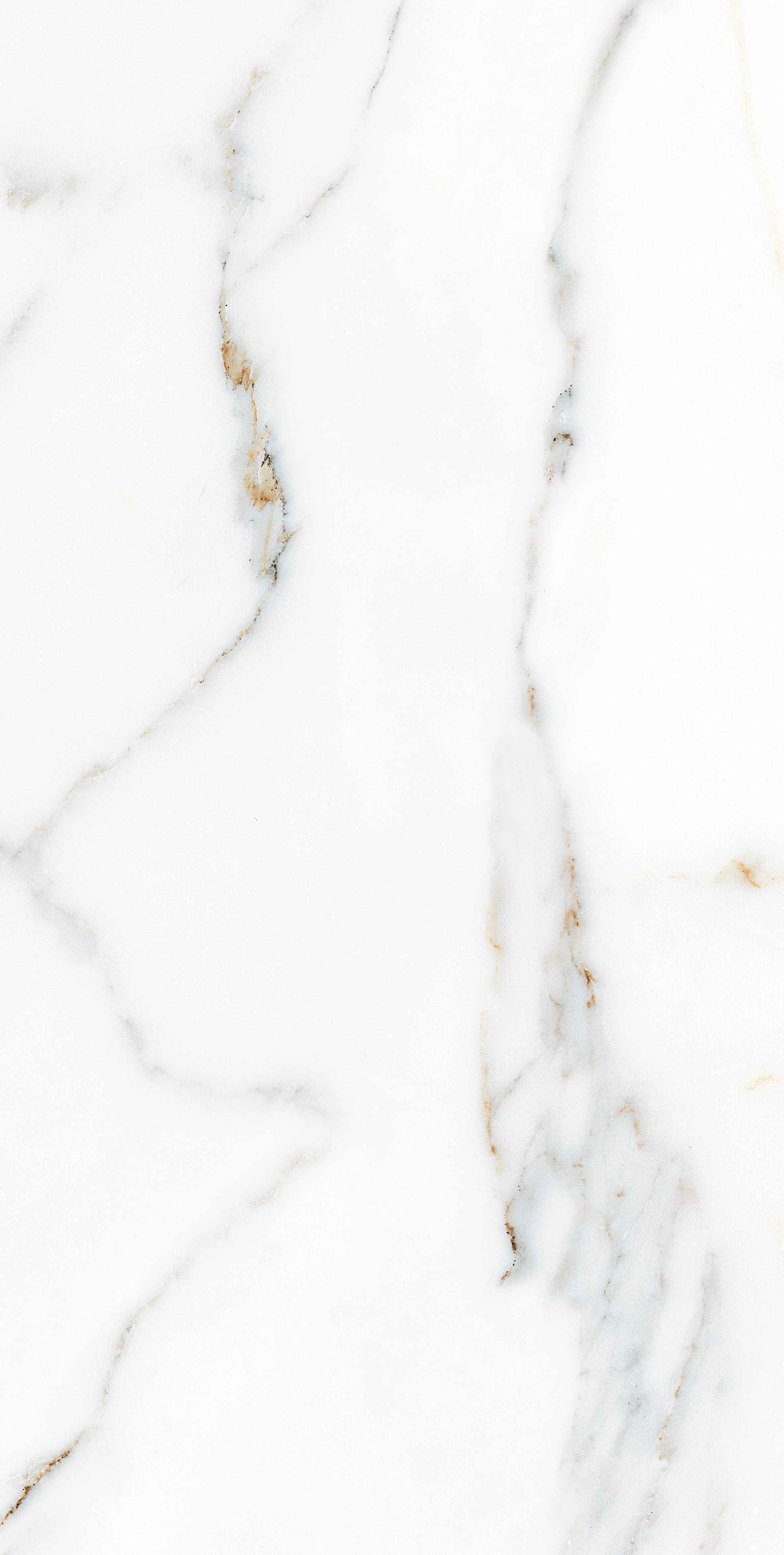 VG Statuario Gold slab 30 X 60 CM 3