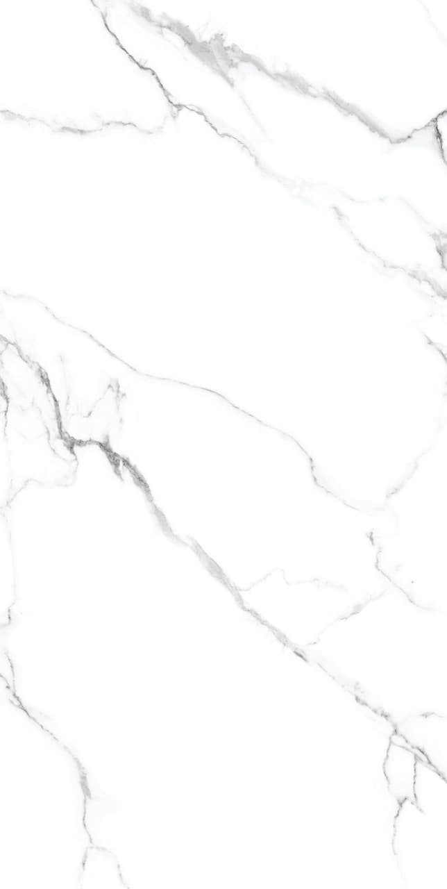 Calacatta Silver slab 60 X 120 CM 7