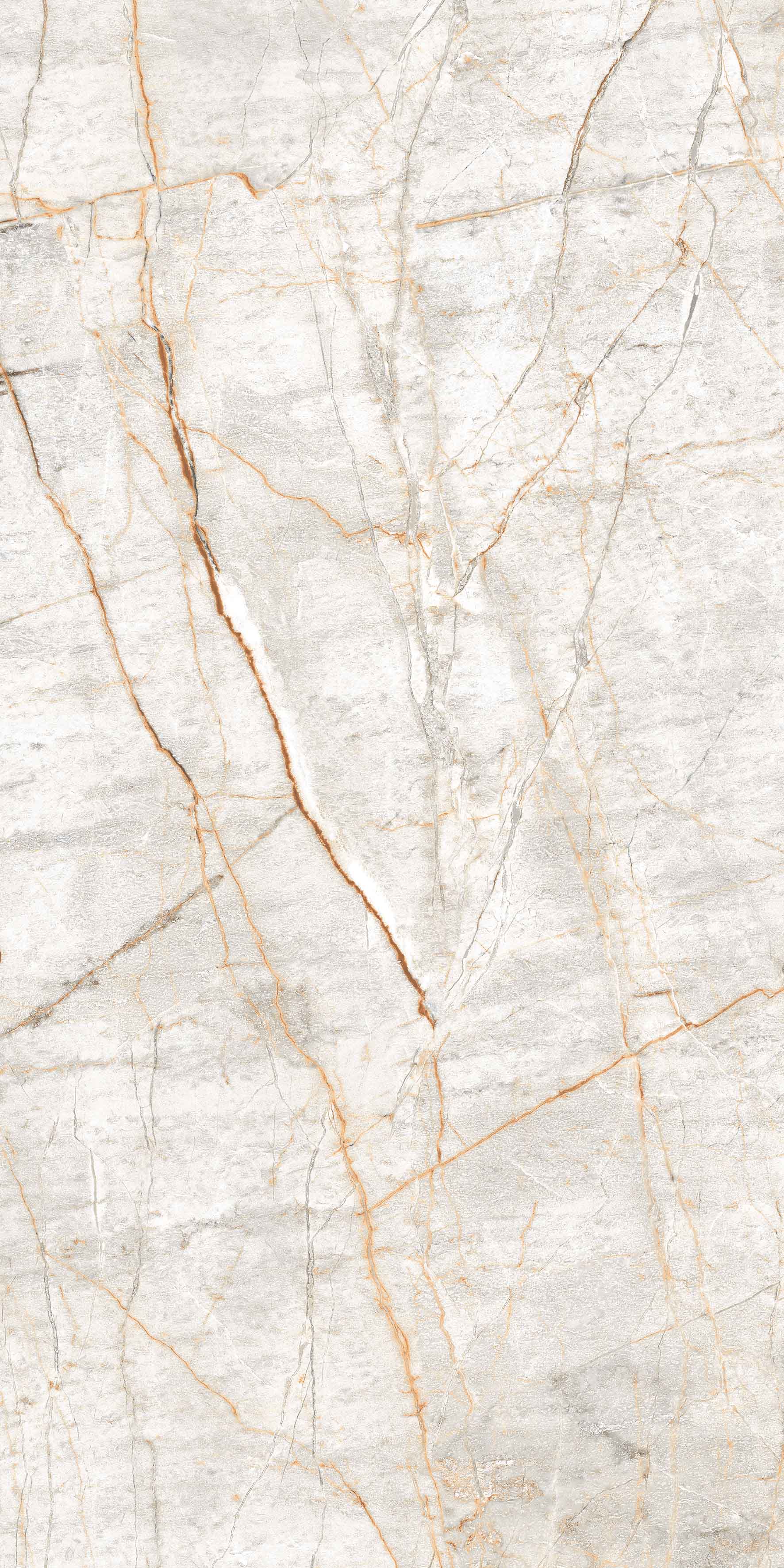 Taj Mahal Brown slab 60 X 120 CM 2