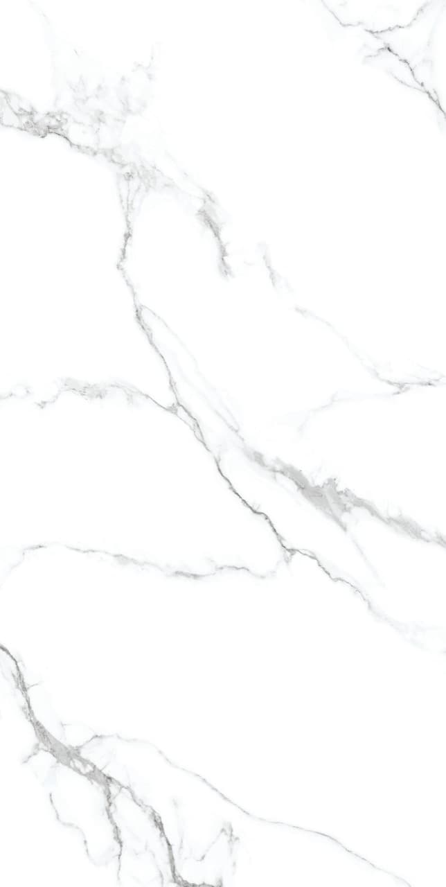 Calacatta Silver slab 60 X 120 CM 3