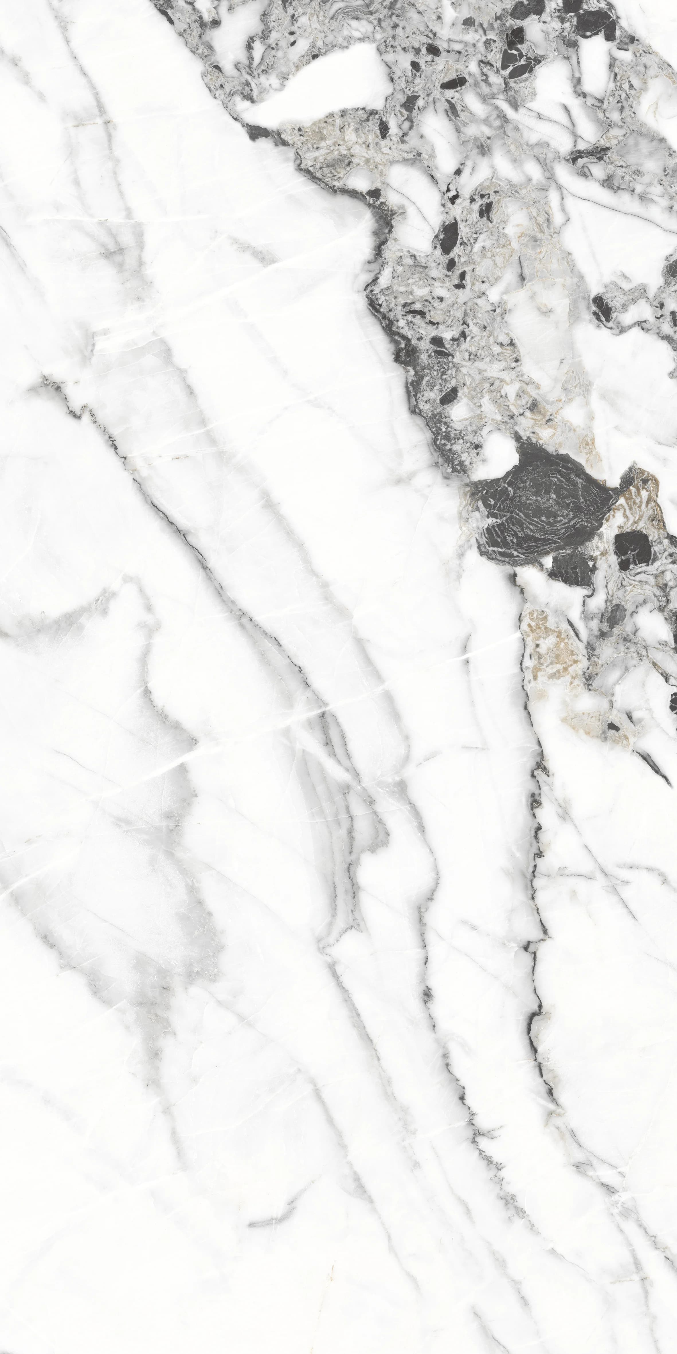 Tiziano Bianco slab 60 X 120 CM 5