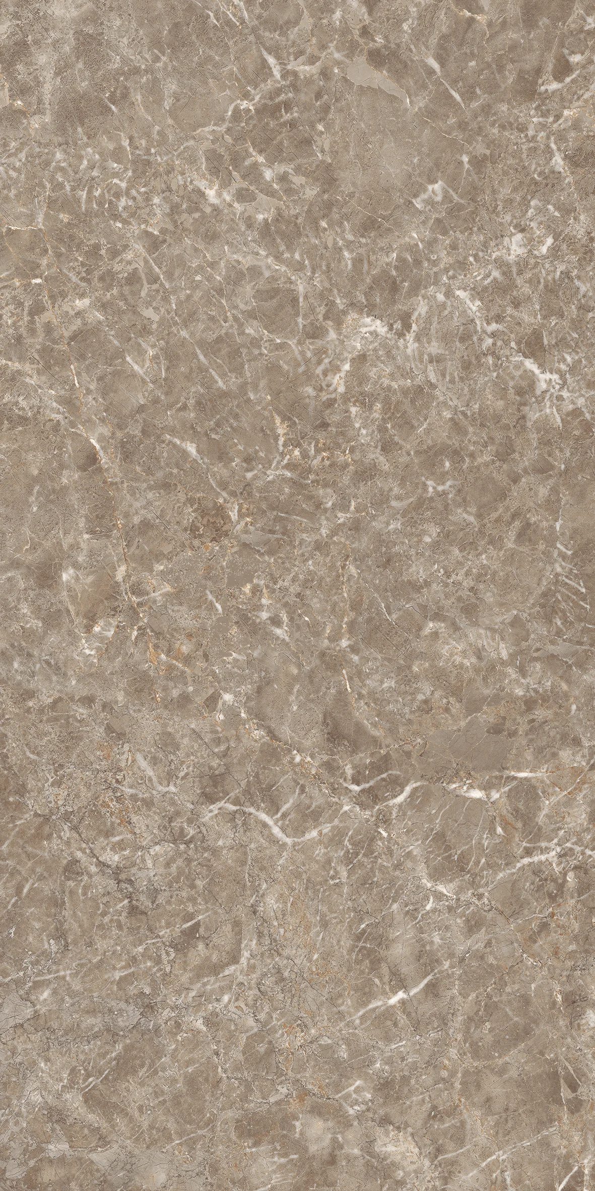 Imperial Brown slab 60 X 120 CM 1