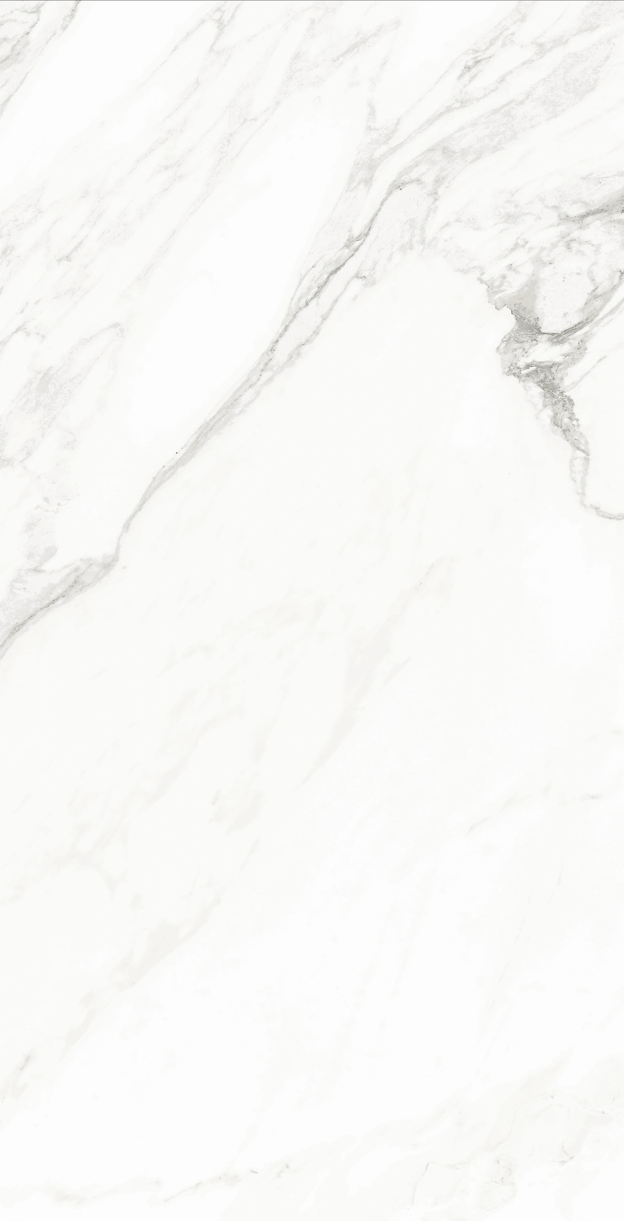 Classico Statuario slab 60 X 120 CM 5