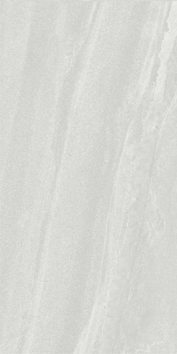 Veneto Cenere slab 60 X 120 CM 1