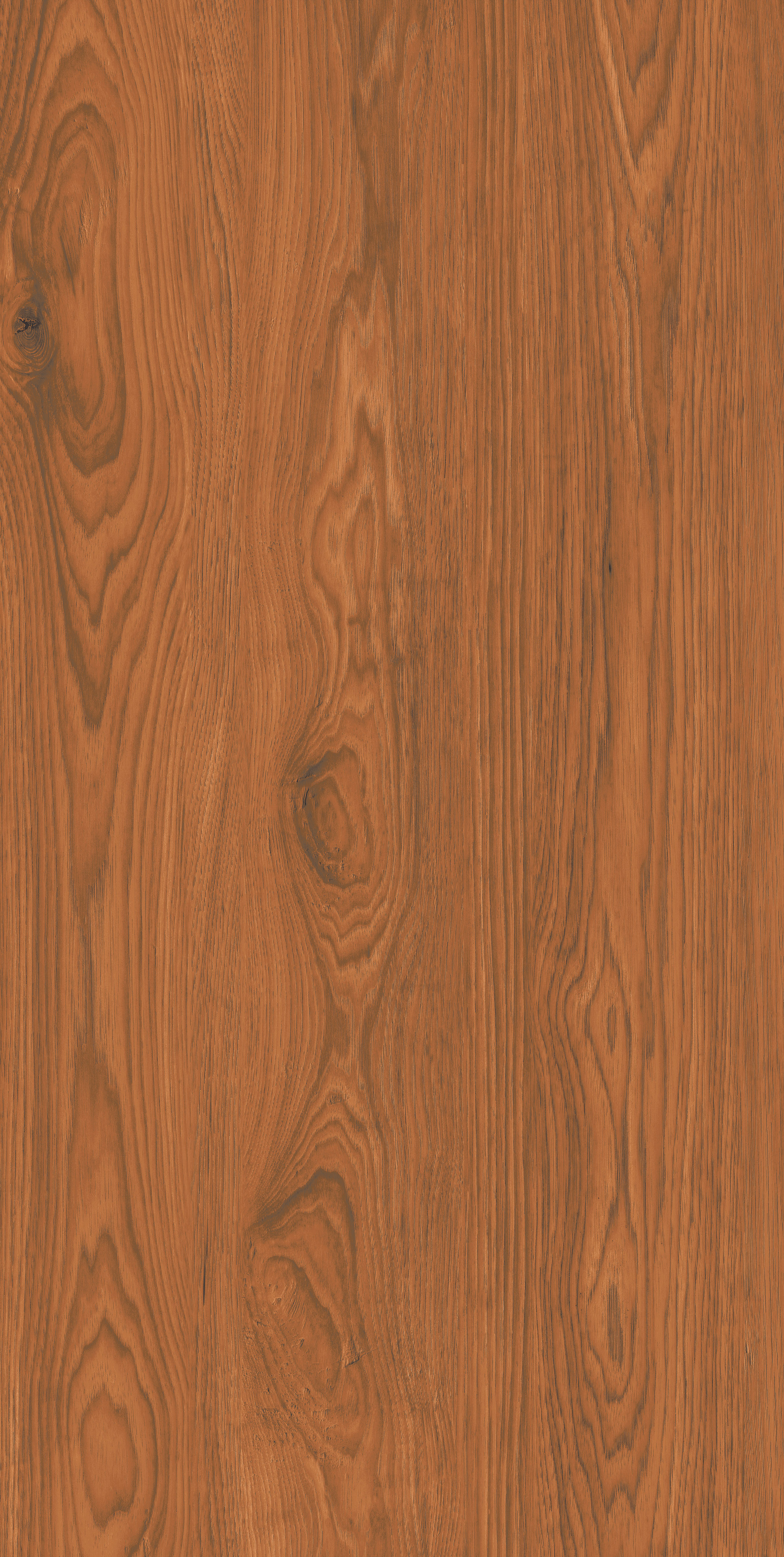 Segura Wood slab 60 X 120 CM 3