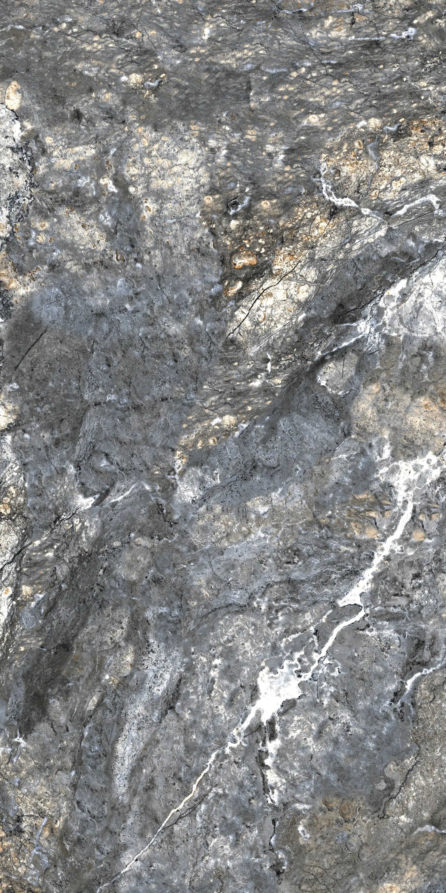 Monteverde Natural slab 120 X 60 CM 7