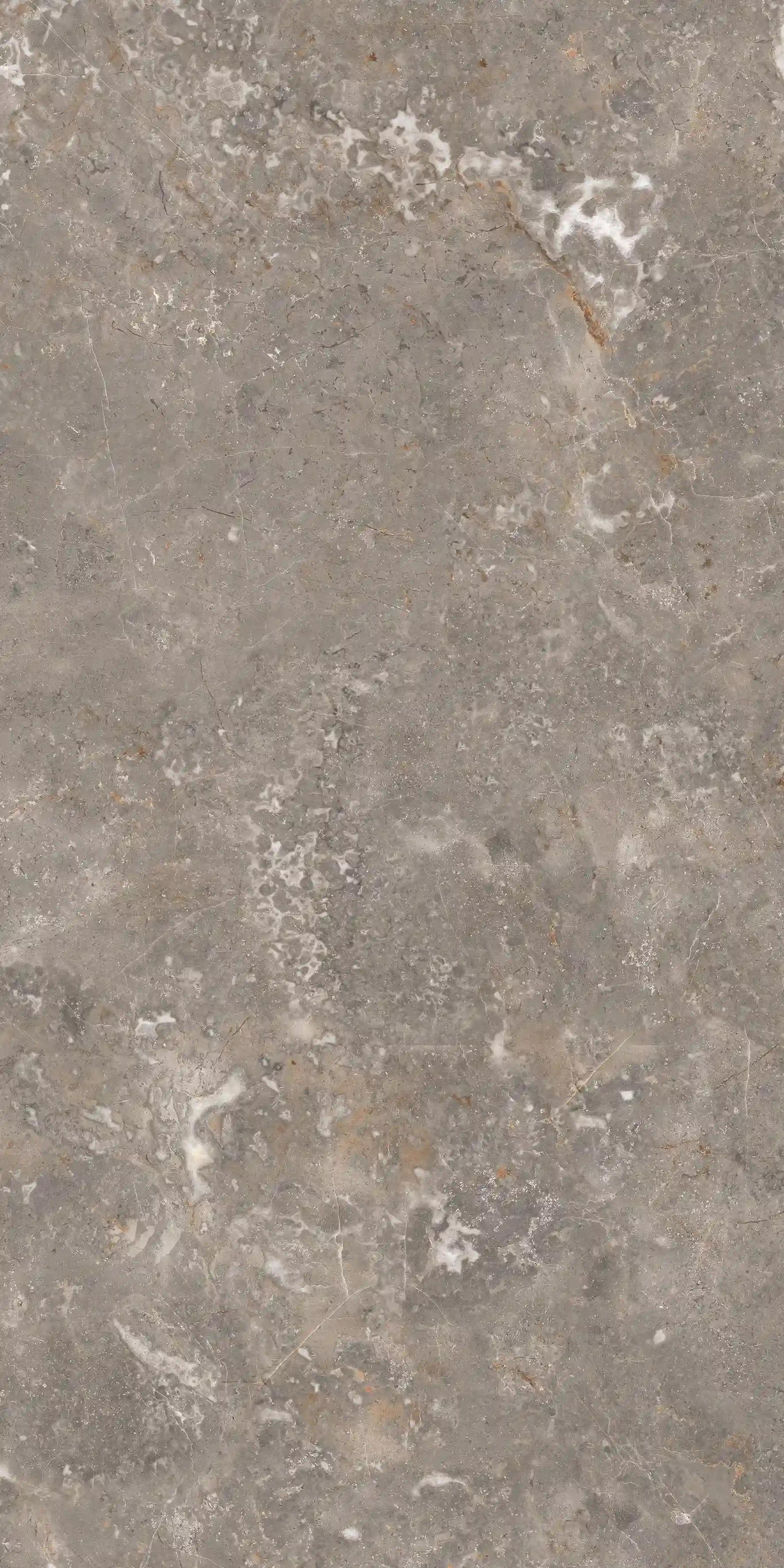 Aldo Grey slab 60 X 120 CM 5