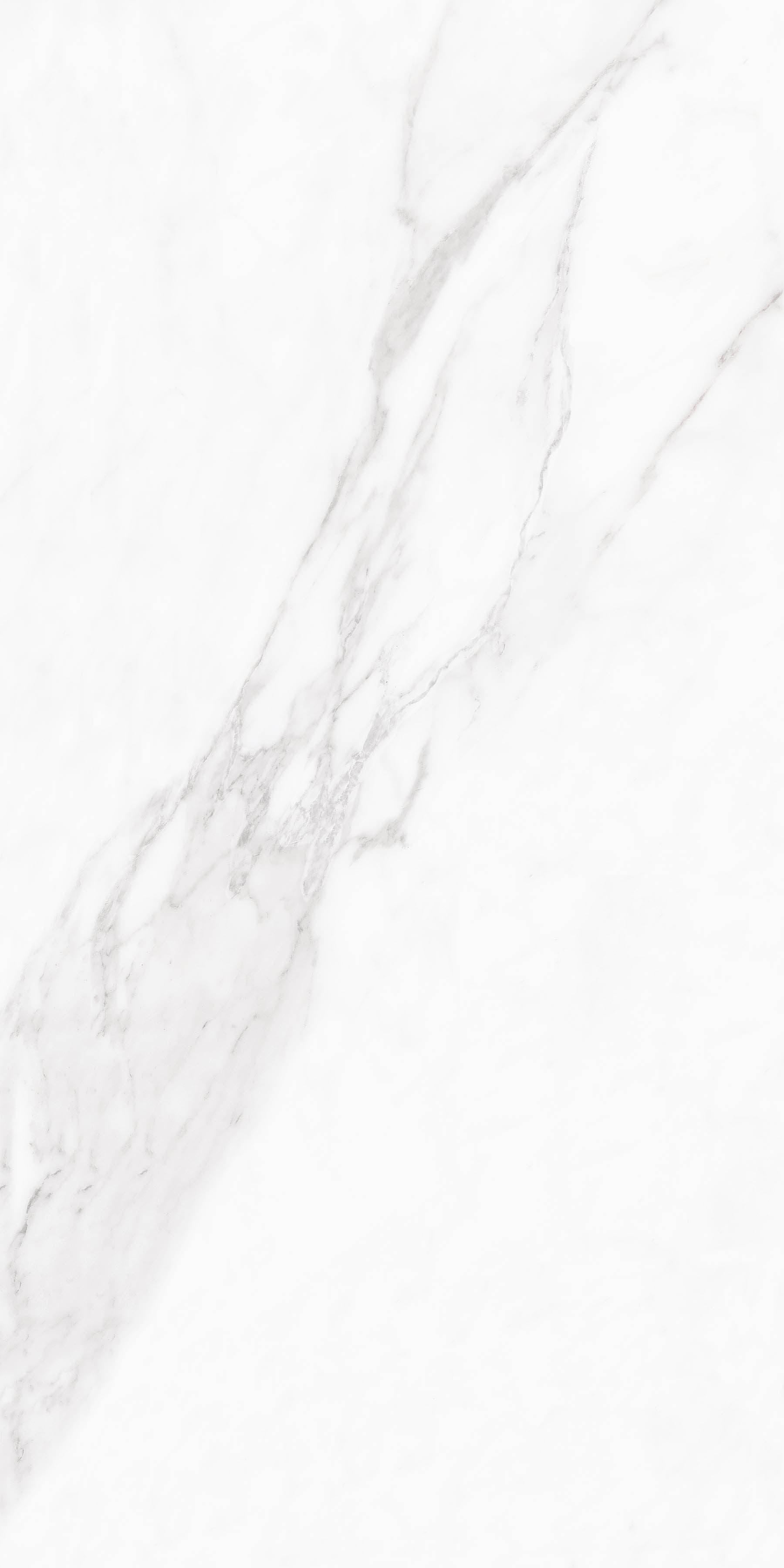 Arctic Statuario - 2