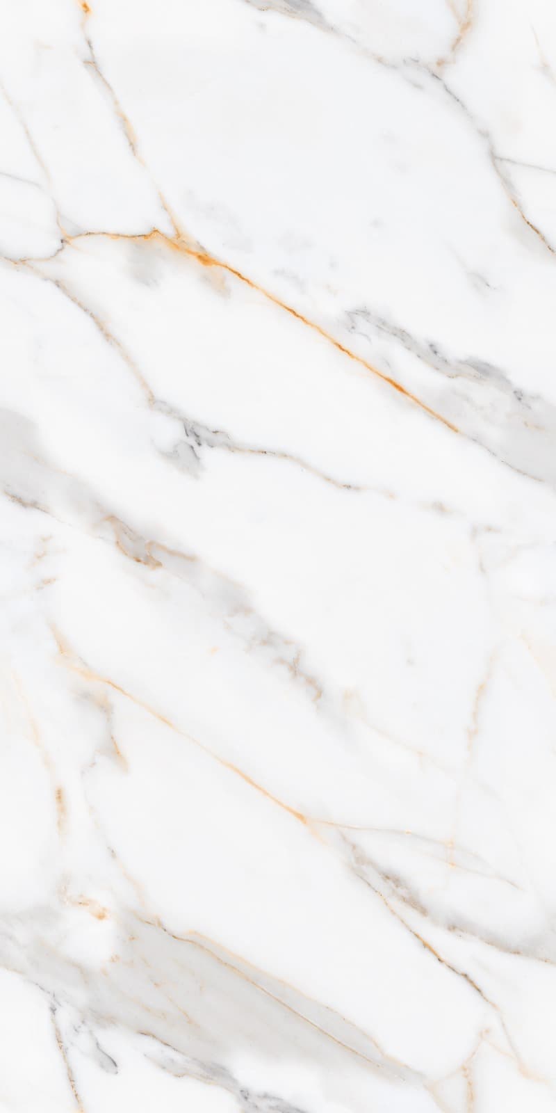 Vecchia Gold slab 60 X 120 CM 4