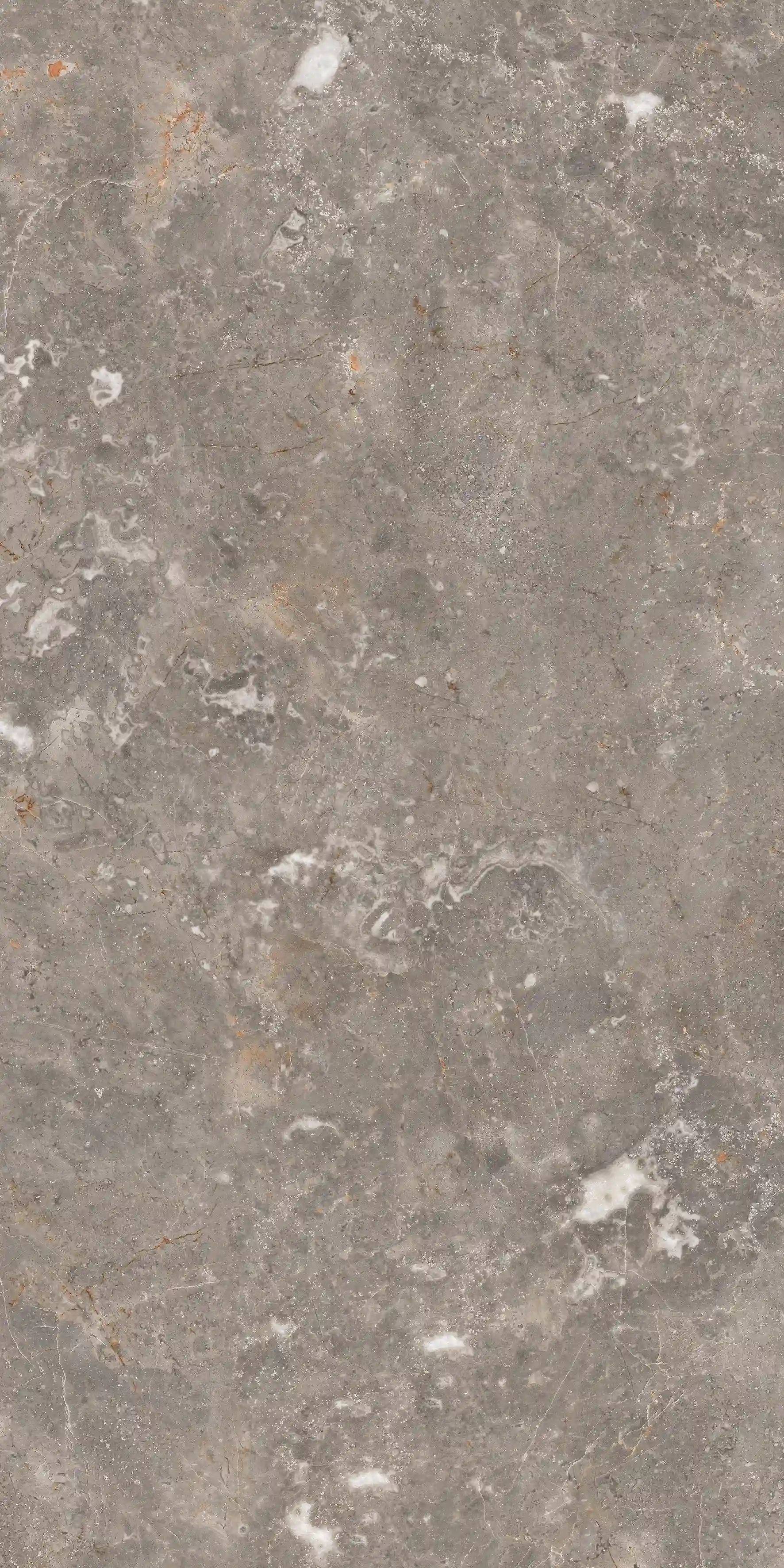 Aldo Grey slab 60 X 120 CM 4