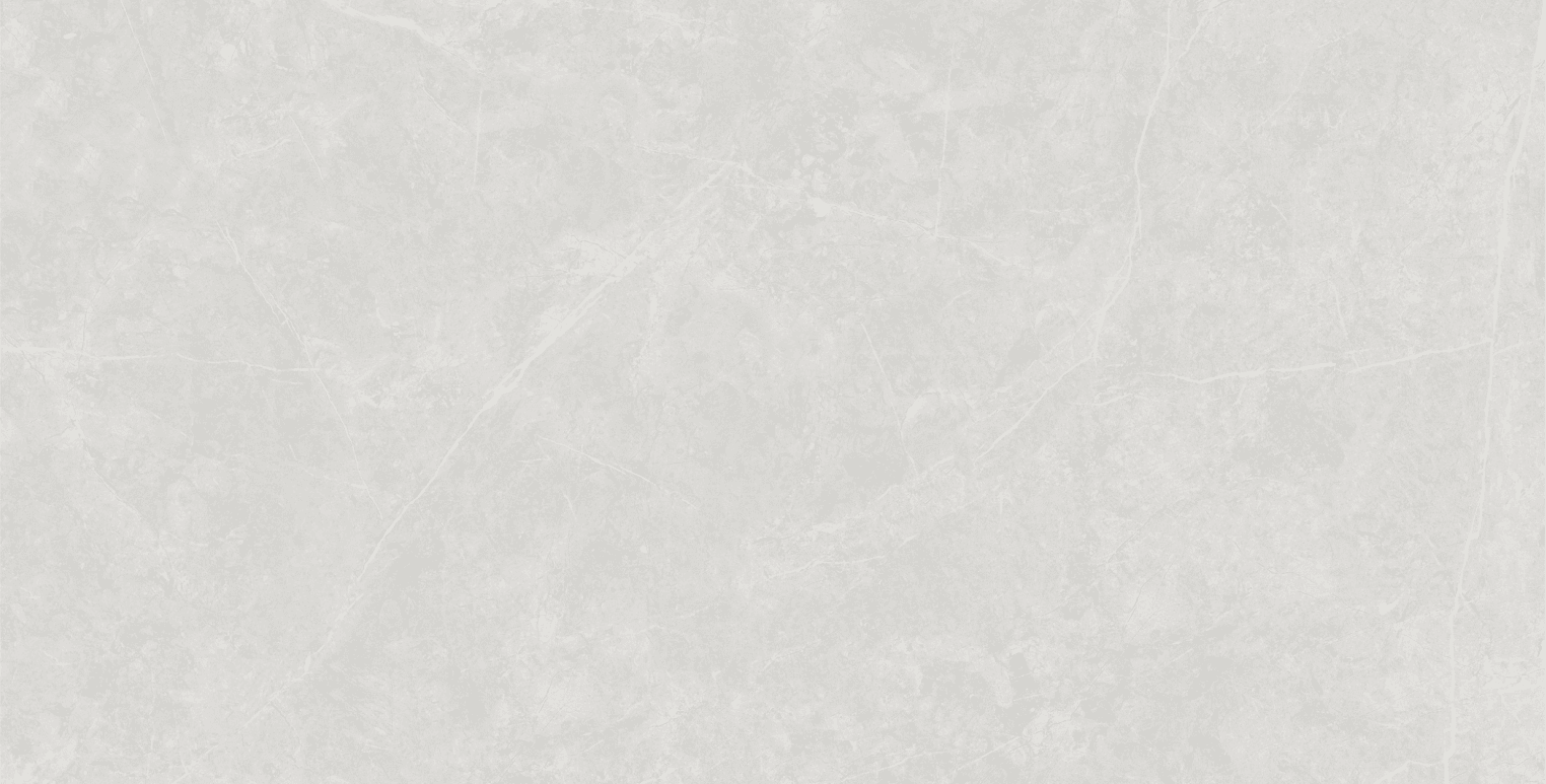 Anzio Light Grey slab 60 X 120 CM 1