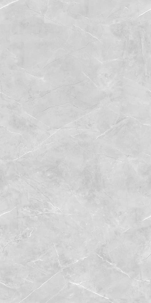 Bulgari Grey slab 120 X 240 CM | 60 X 120 CM 3