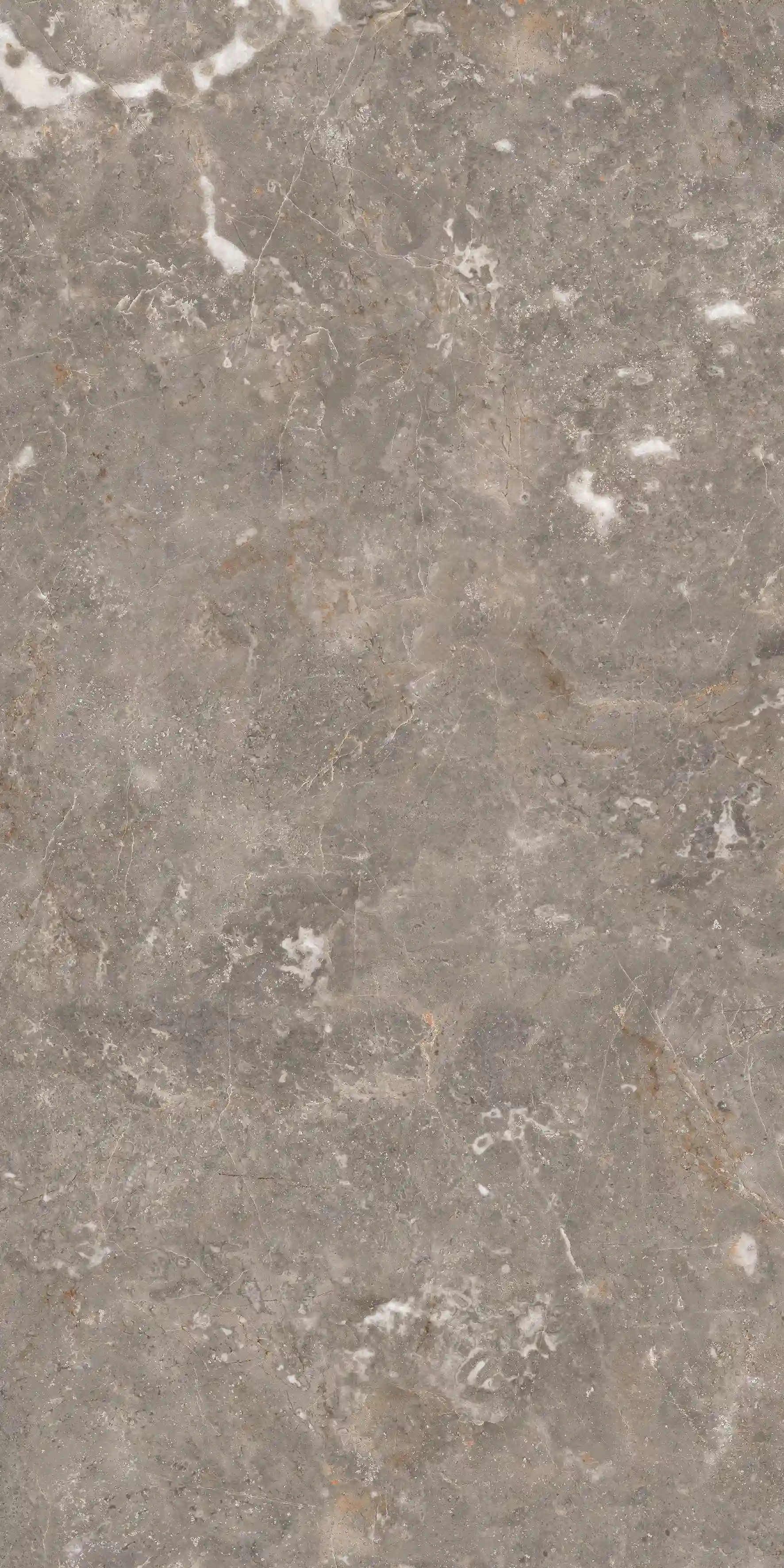 Aldo Grey slab 60 X 120 CM 6