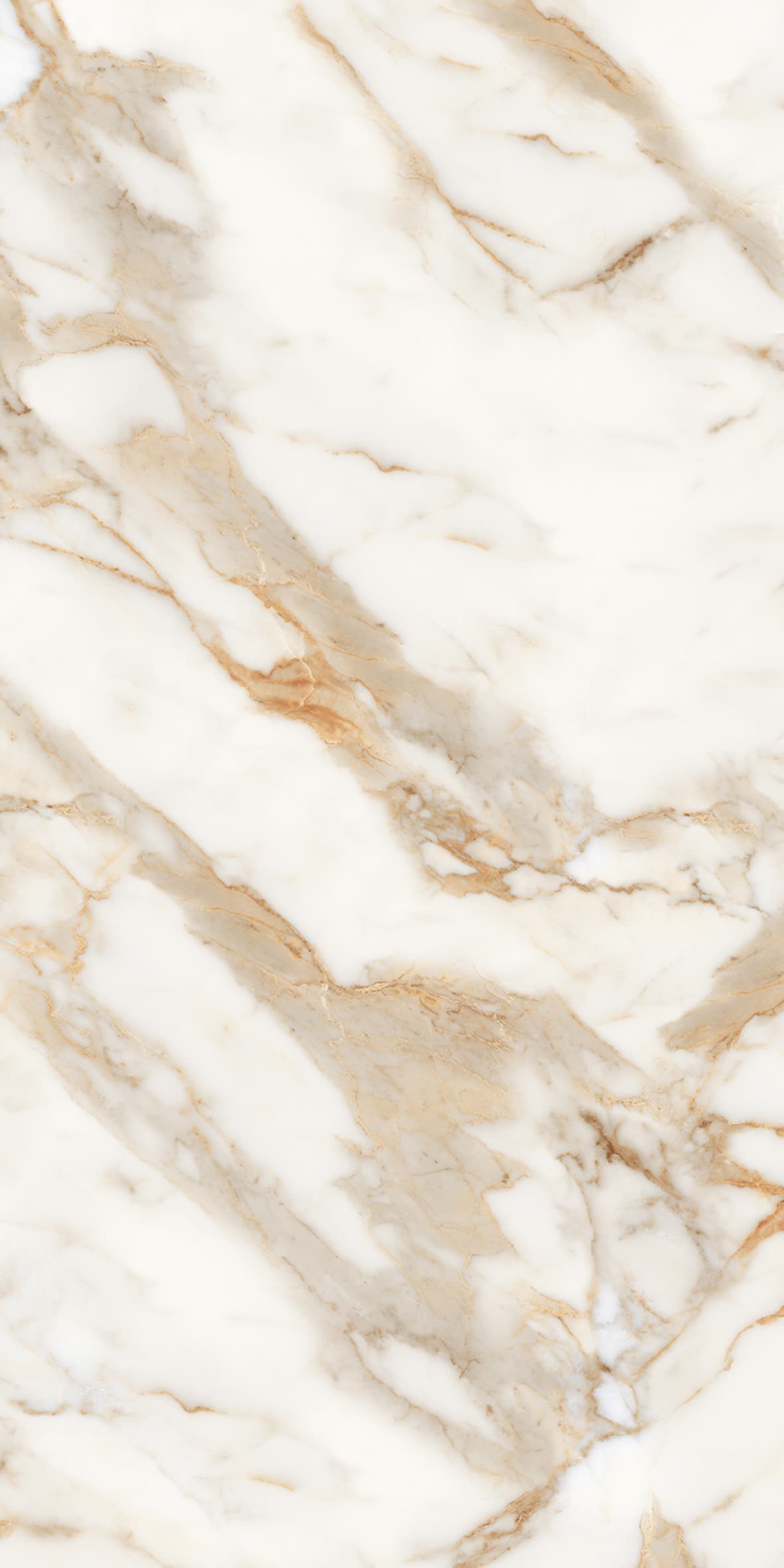 Alpine Gold slab 60 X 120 CM 2