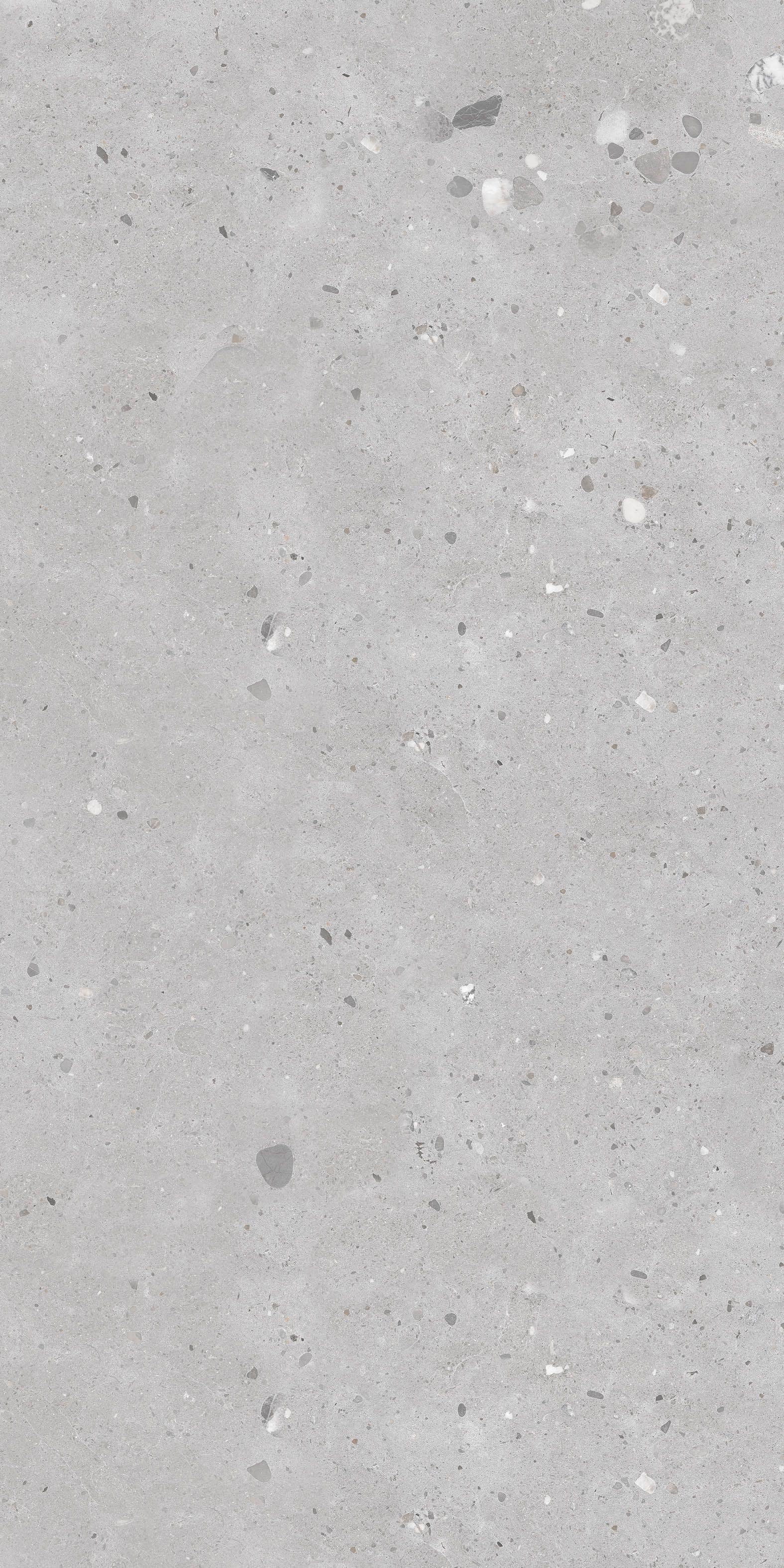 Stone Light Grey slab 80 X 160 CM 3