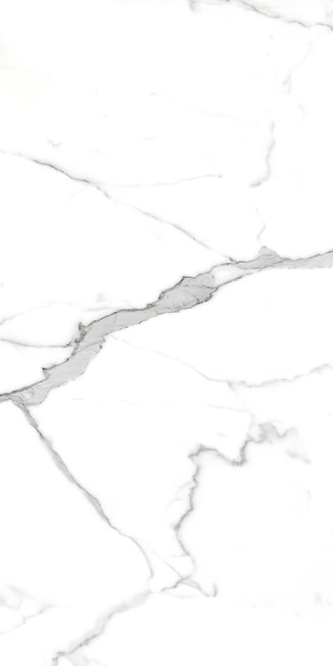 Savio Carrara slab 120 X 240 CM | 90 X 180 CM 4