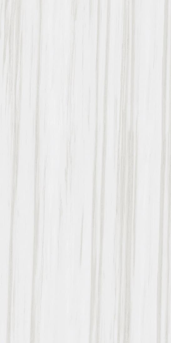 Bianco Andes slab 60 X 120 CM 1