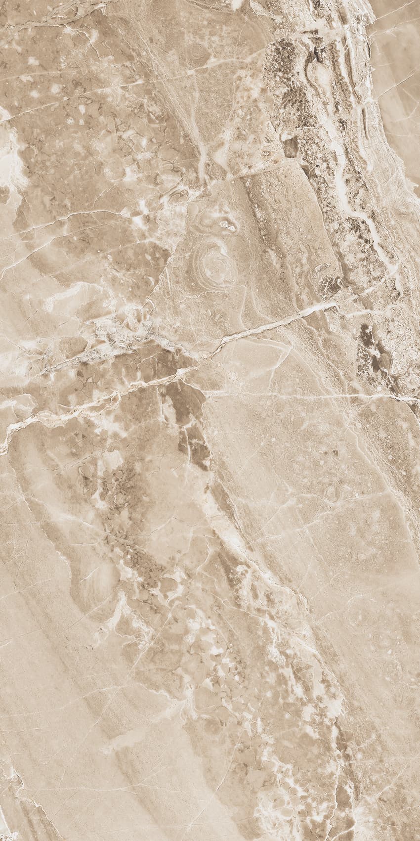 Roma Brown slab 120 X 60 CM 3