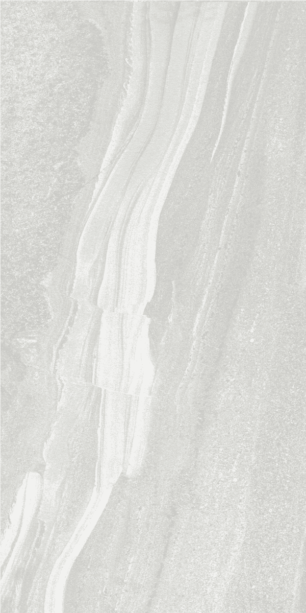 Veneto Cenere slab 60 X 120 CM 6