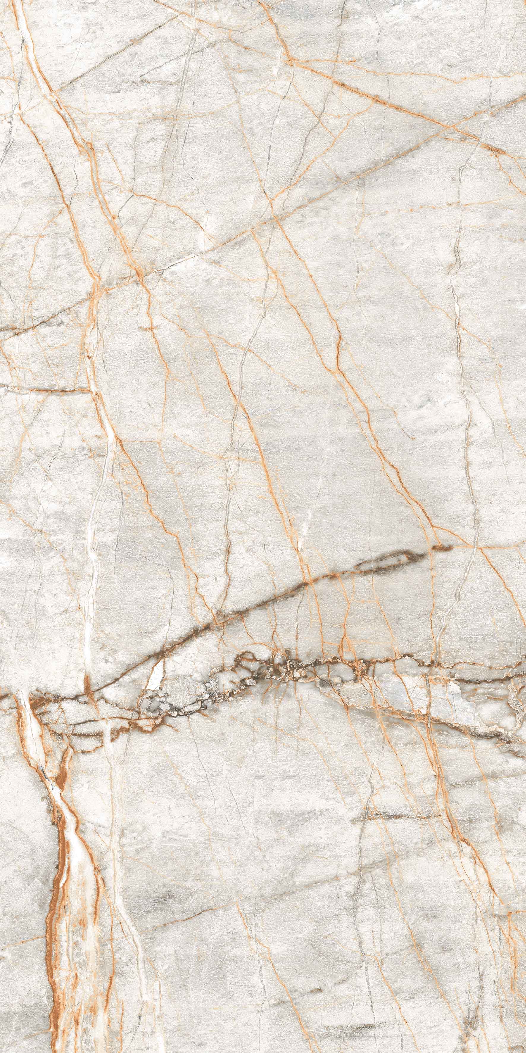 Taj Mahal Brown slab 60 X 120 CM 6