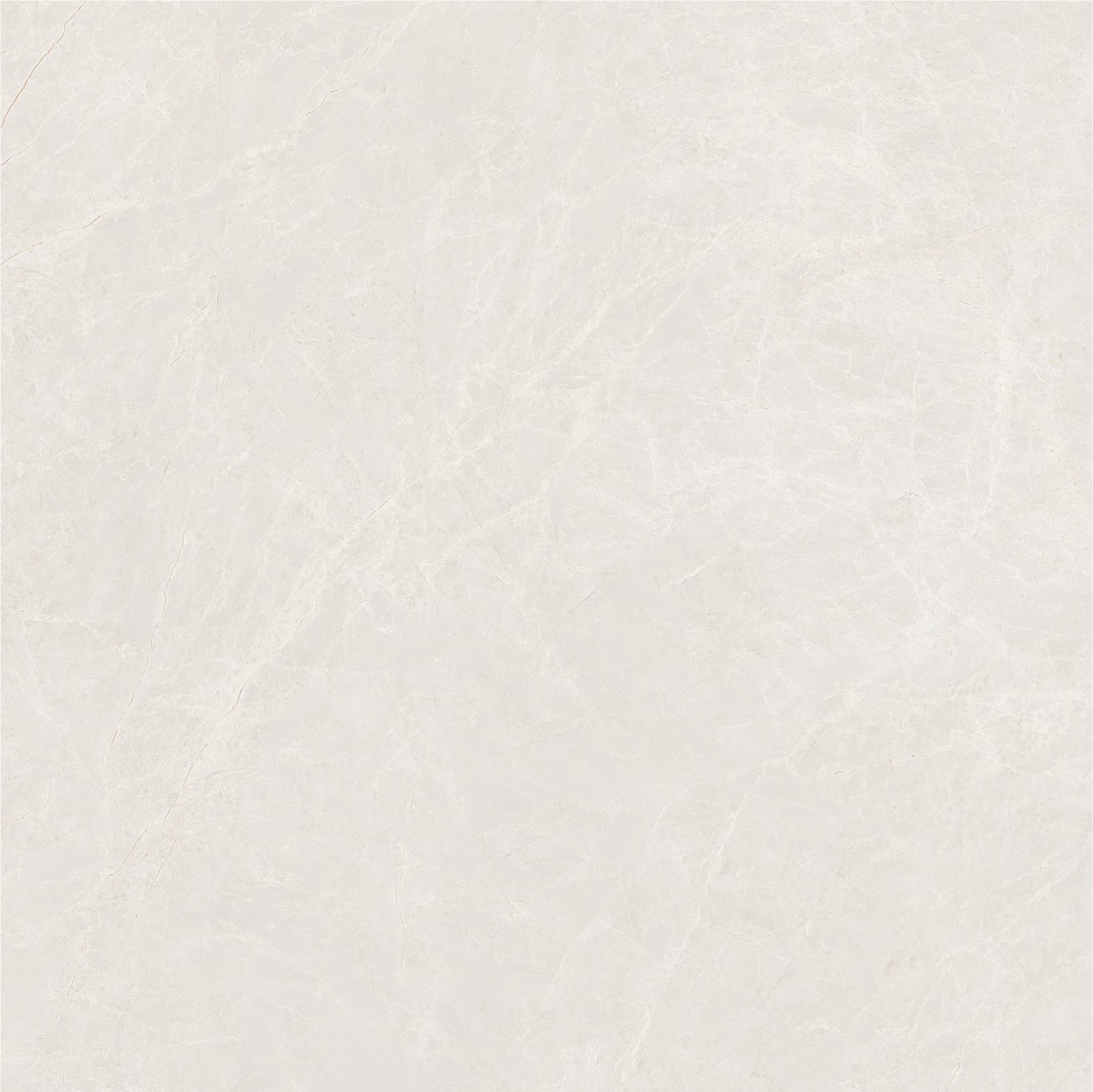 Emperador Beige slab 80 X 80 CM 6