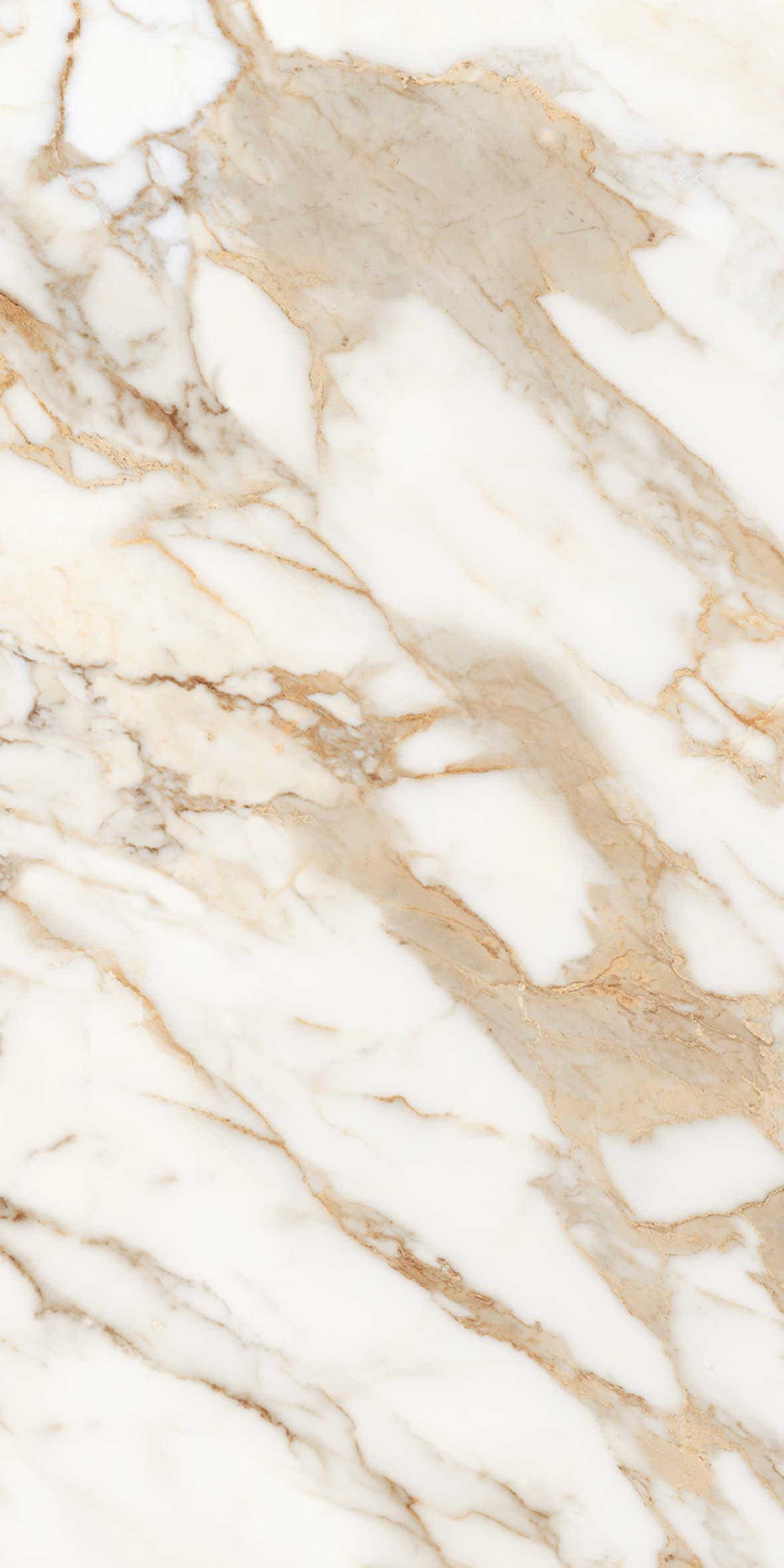 Alpine Gold slab 60 X 120 CM 3